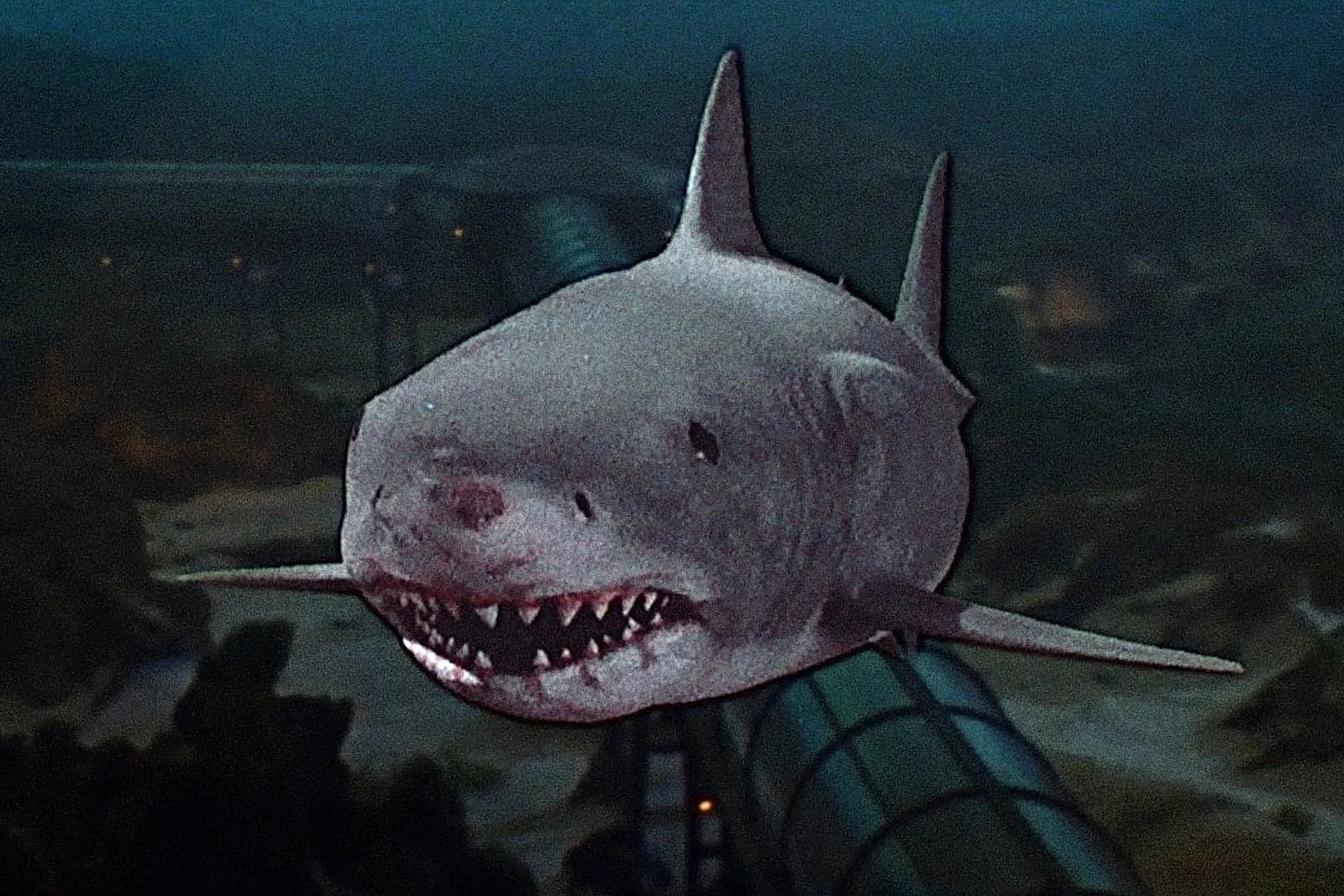 Ep 103: Jaws Sequels (2, 3D &amp; Revenge)