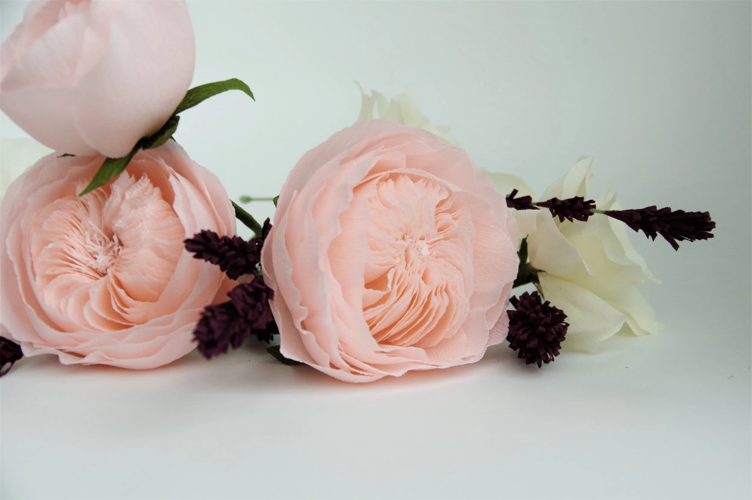 blush_juliet_rose_closeup(sm).jpg