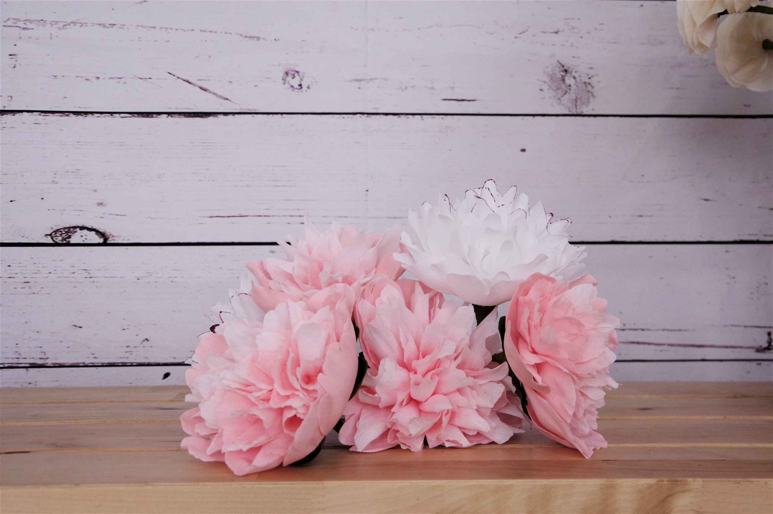 Simple Bomb Double Peony A Paper Florist