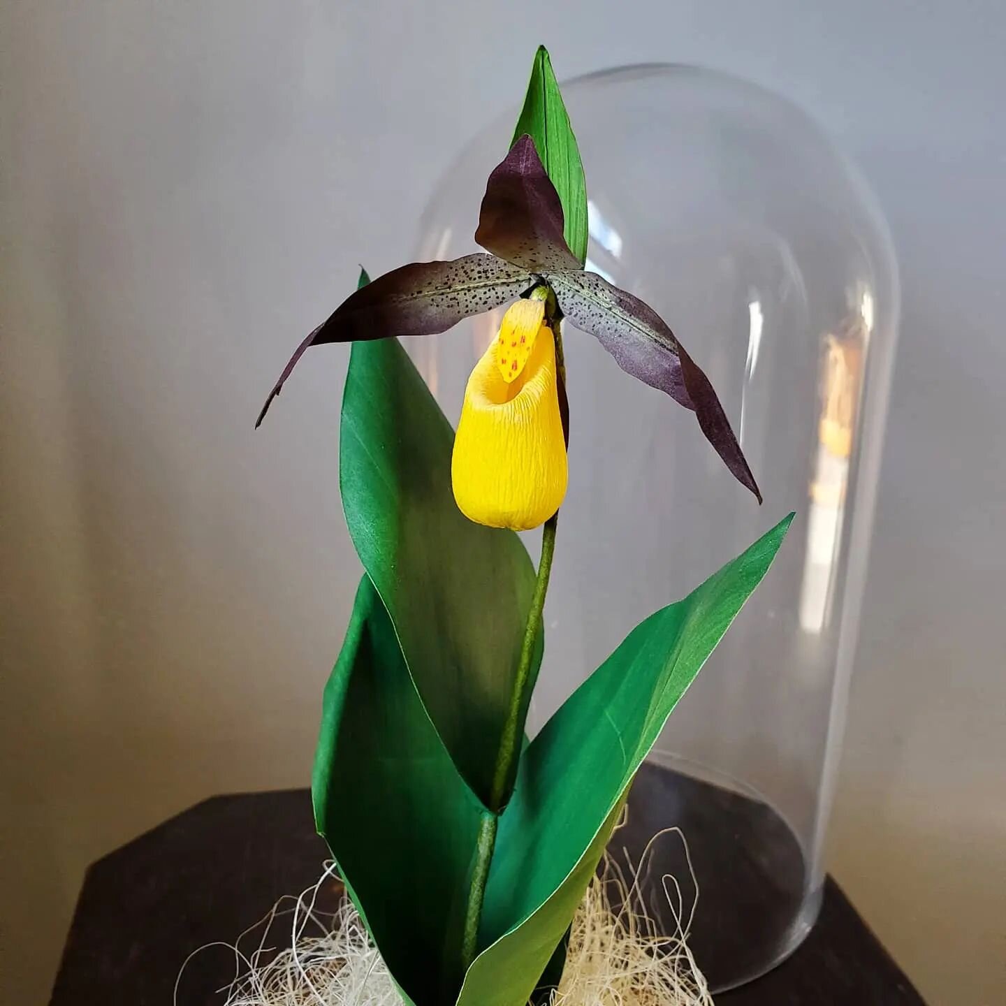 Throw back to this #lady. I still love her. She sits on my shelf shining her yellow at me everyday.

#orchid #orchids #paperflowers