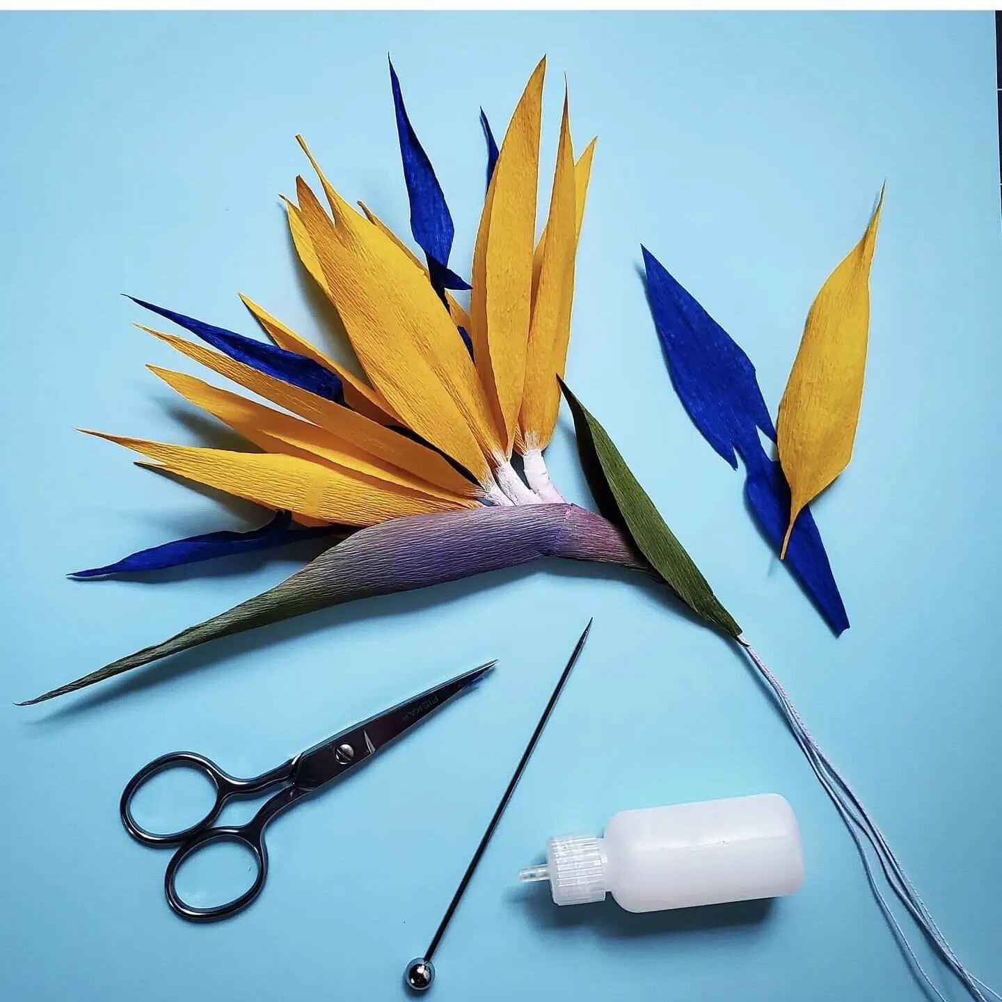 I can't be totally sure, but I think this is my very favorite post ever. #birdwatching #birdofparadise #myfavoritethings #paperart #paperflowers