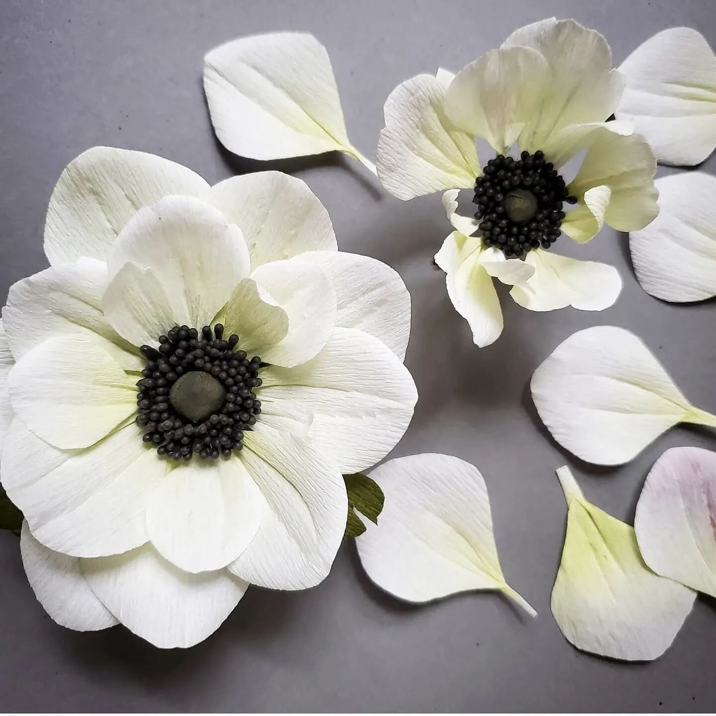 #theireyesarewatching #white #paperart #anemone #botanicalart