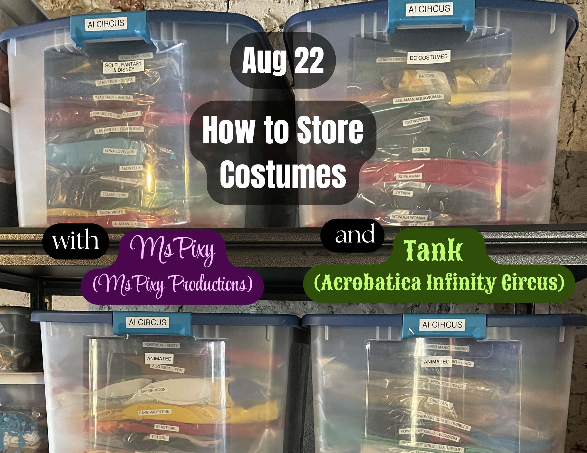 How to Store Costumes: at Home