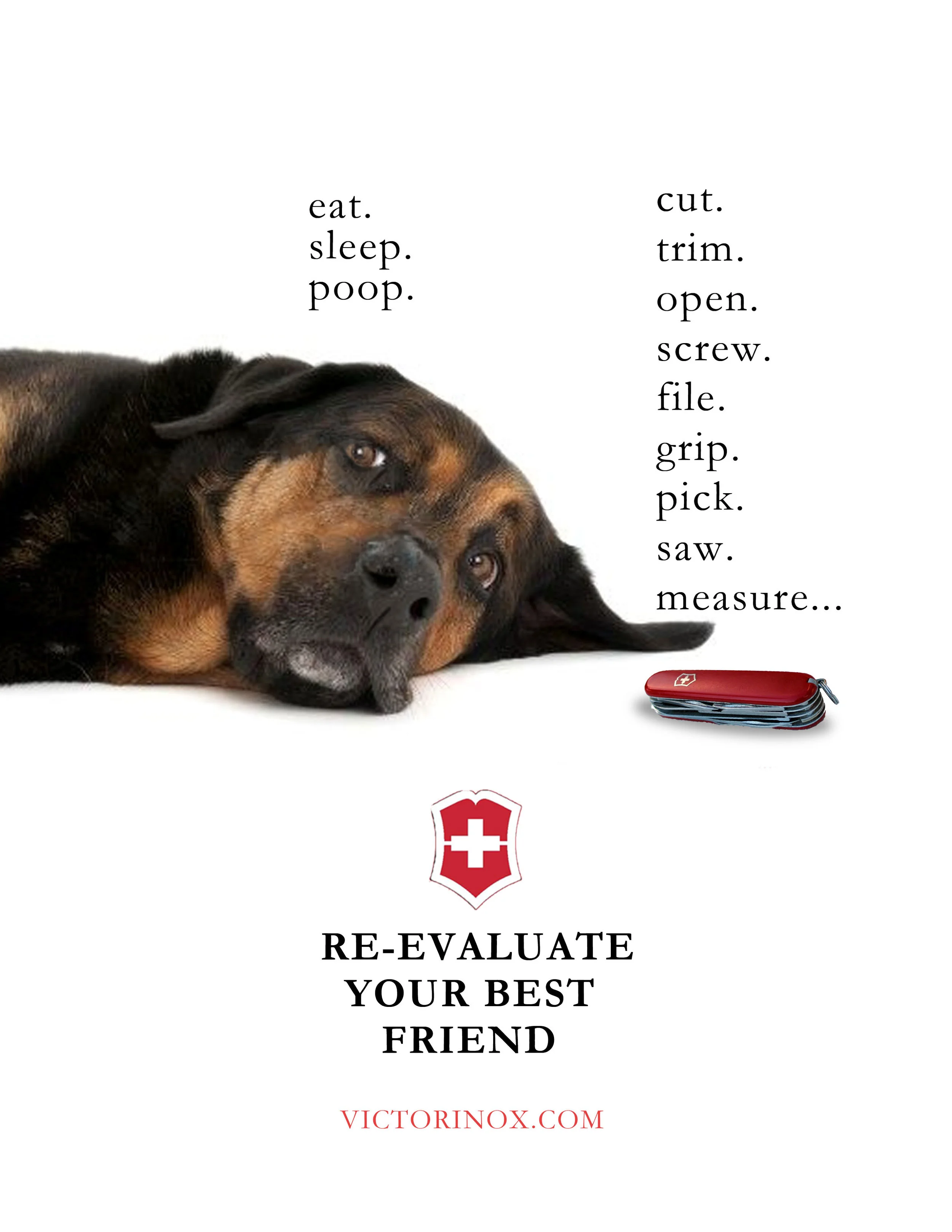 victorinox_final_sullivan2.jpg