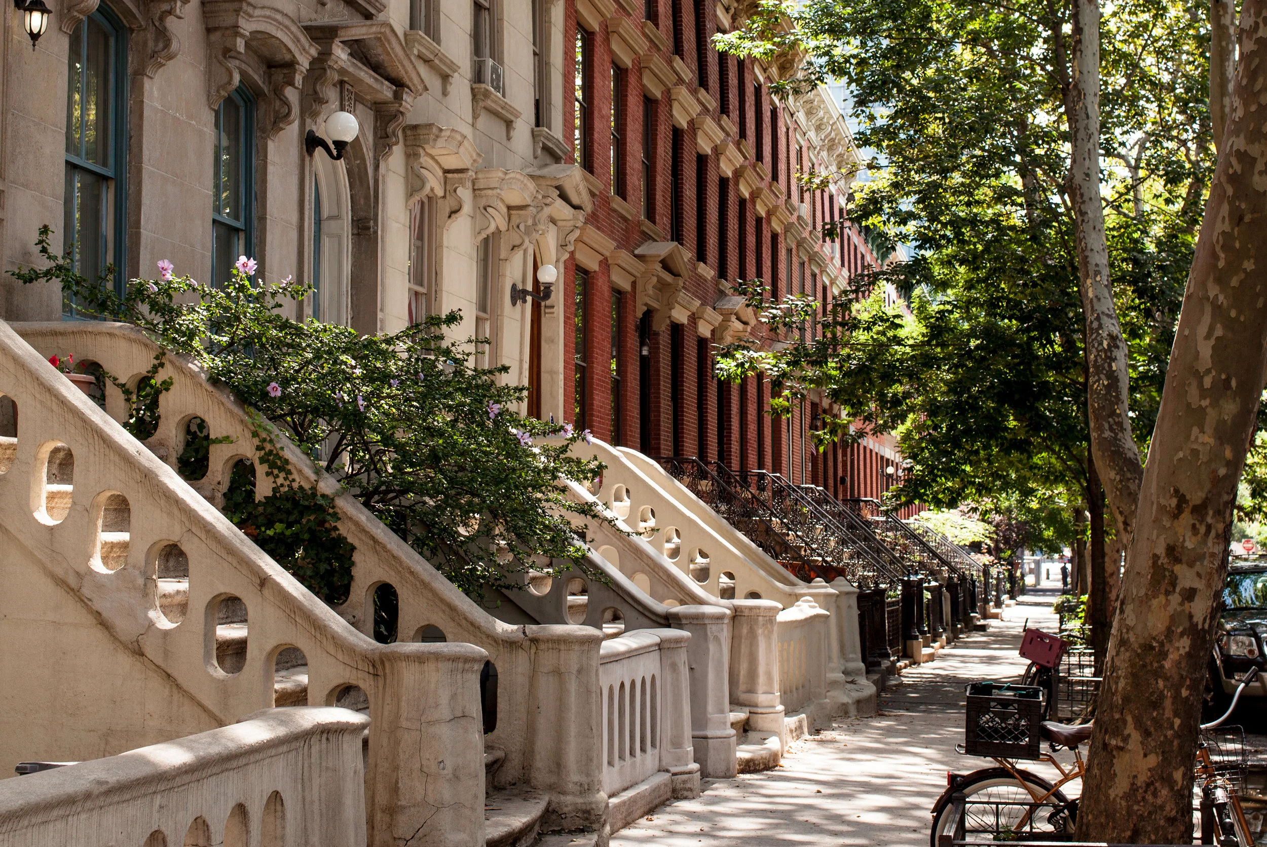 Premiere Neighborhood