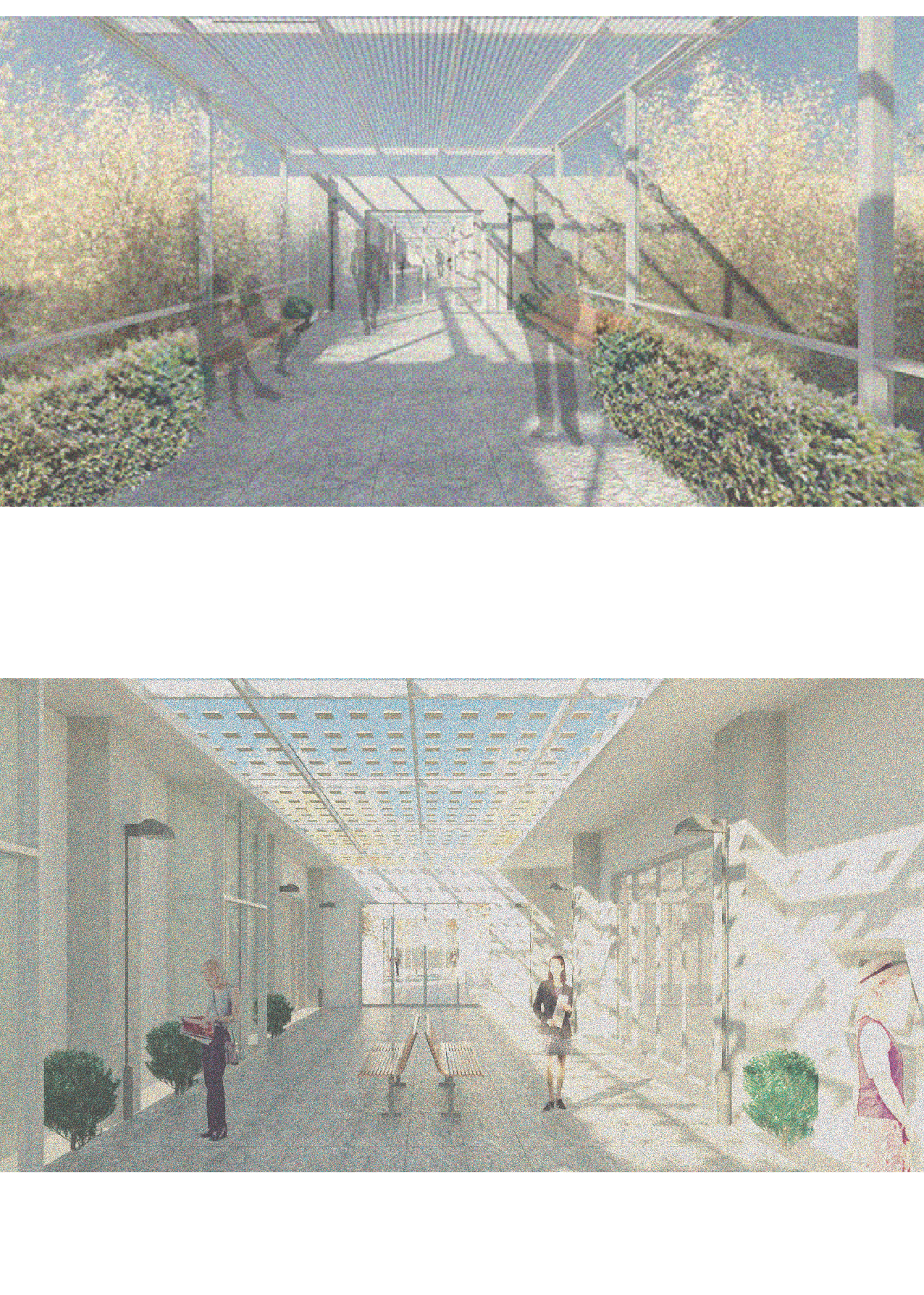 Undergraduate Work-04.png