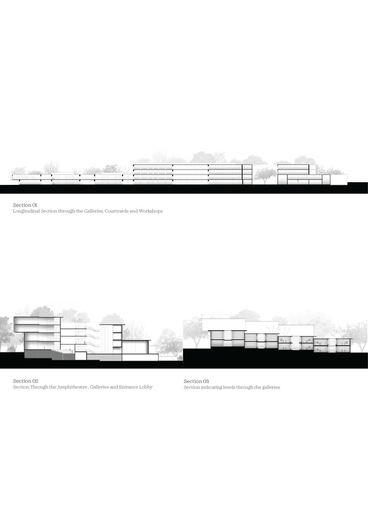 Undergraduate Work-07.png