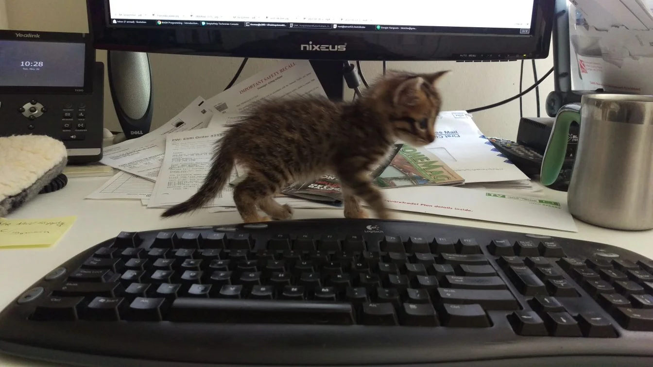 Fran n computer.jpg