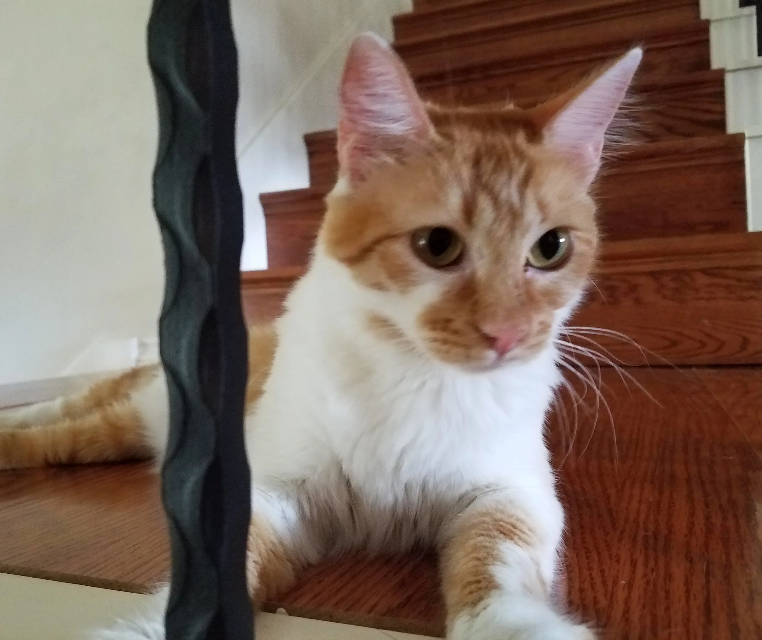 Mable_vacatpic.jpg