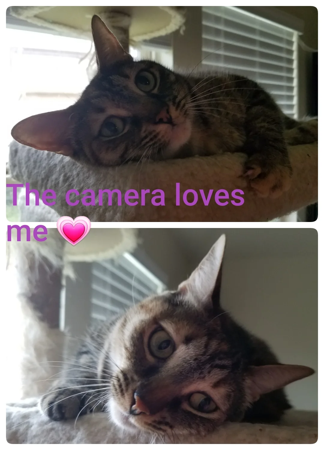 Olivialovescamera.jpg