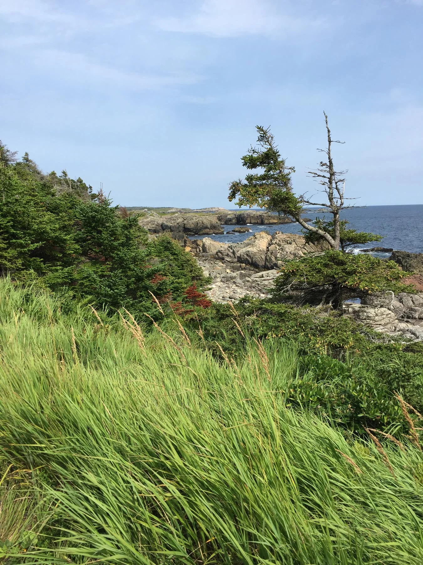 21-09-2018-Cape-Breton.jpg