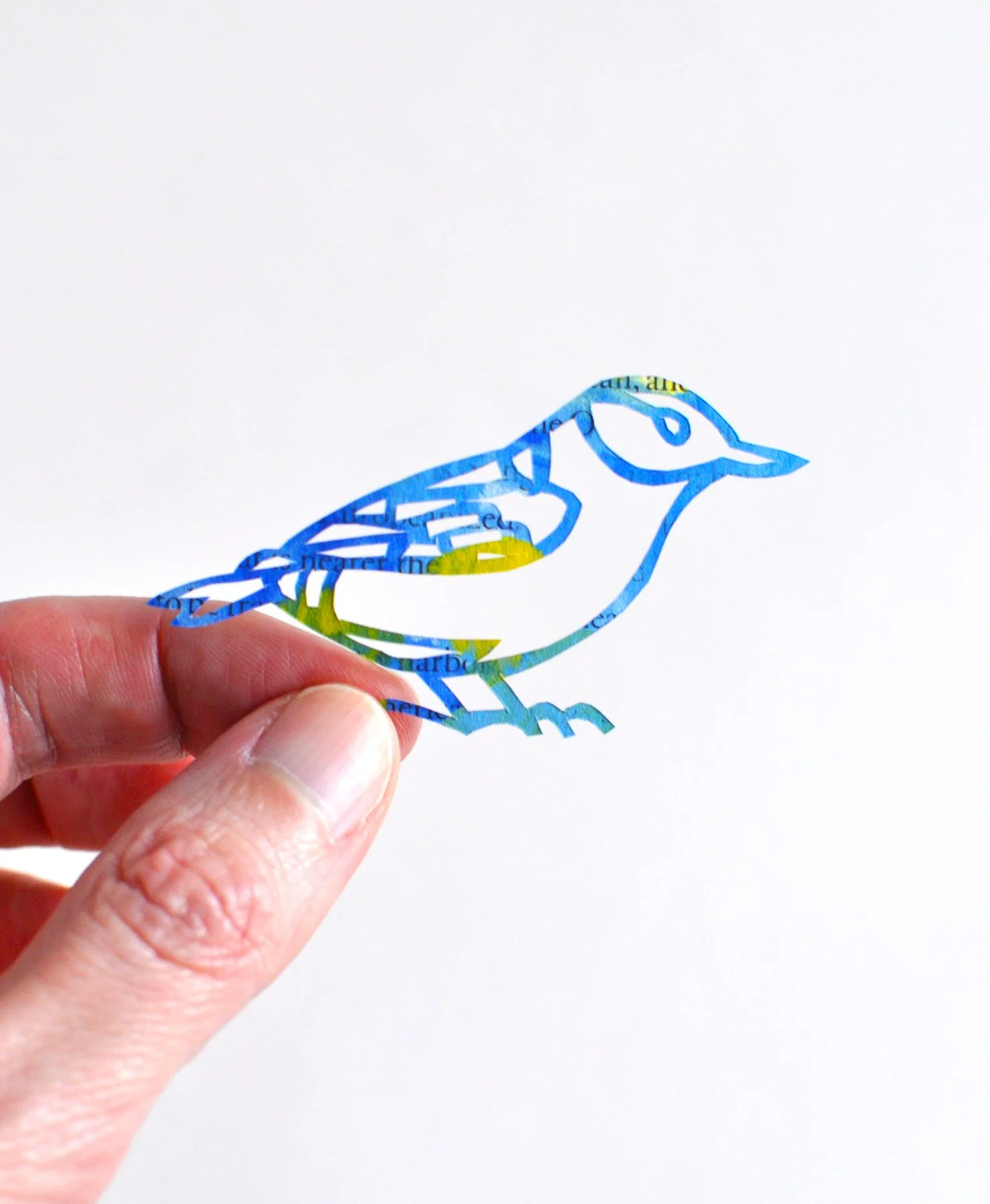 A Sweet Little Nuthatch