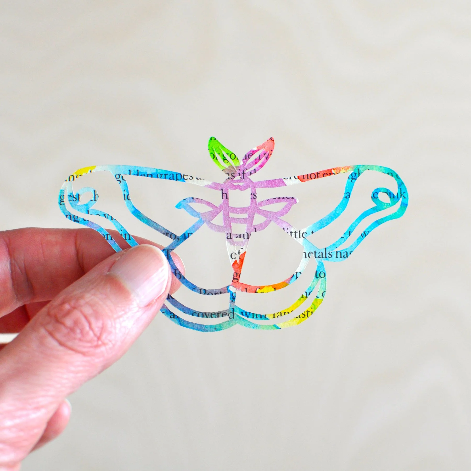A Colourful Moth with Feathery Antennae
