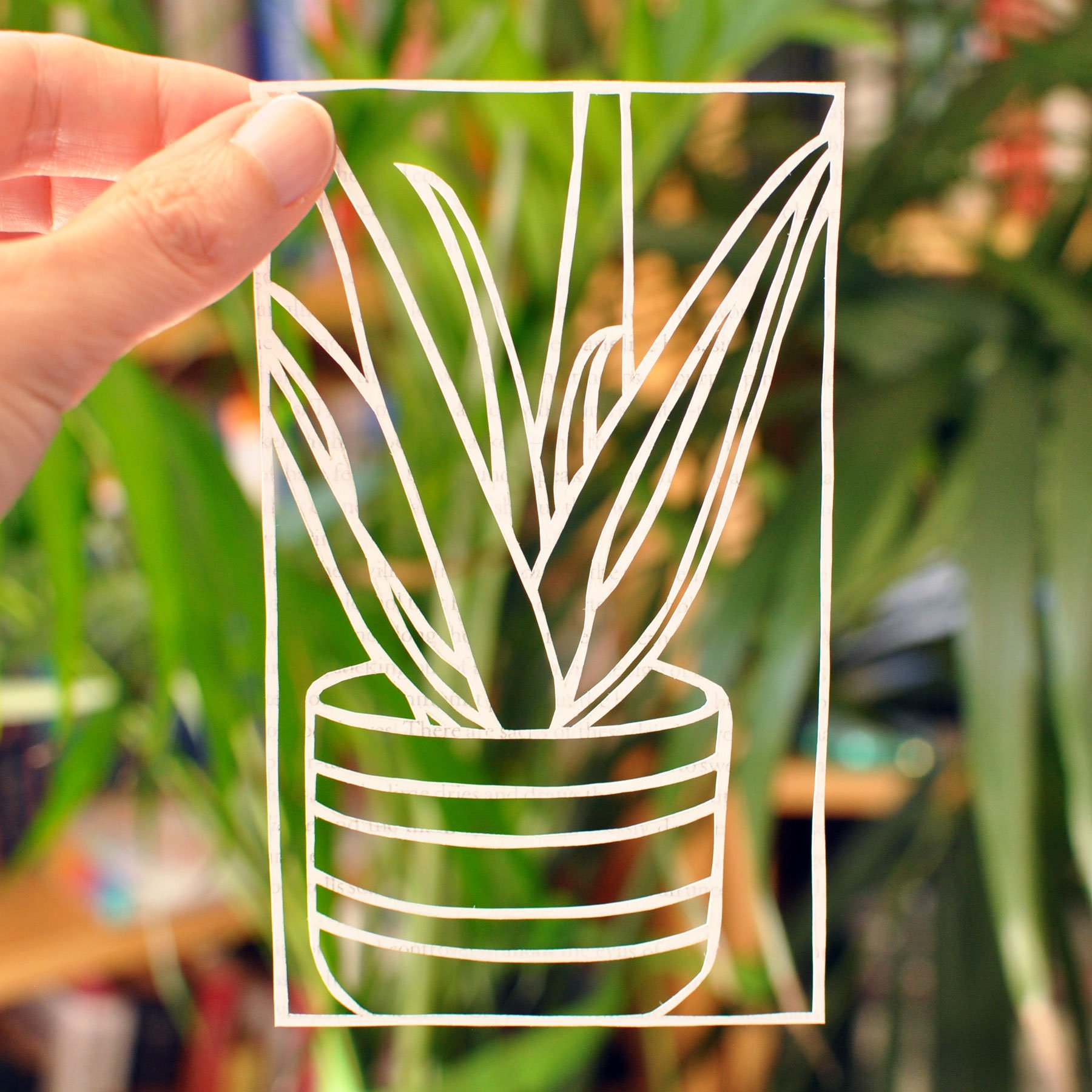 Houseplant Love