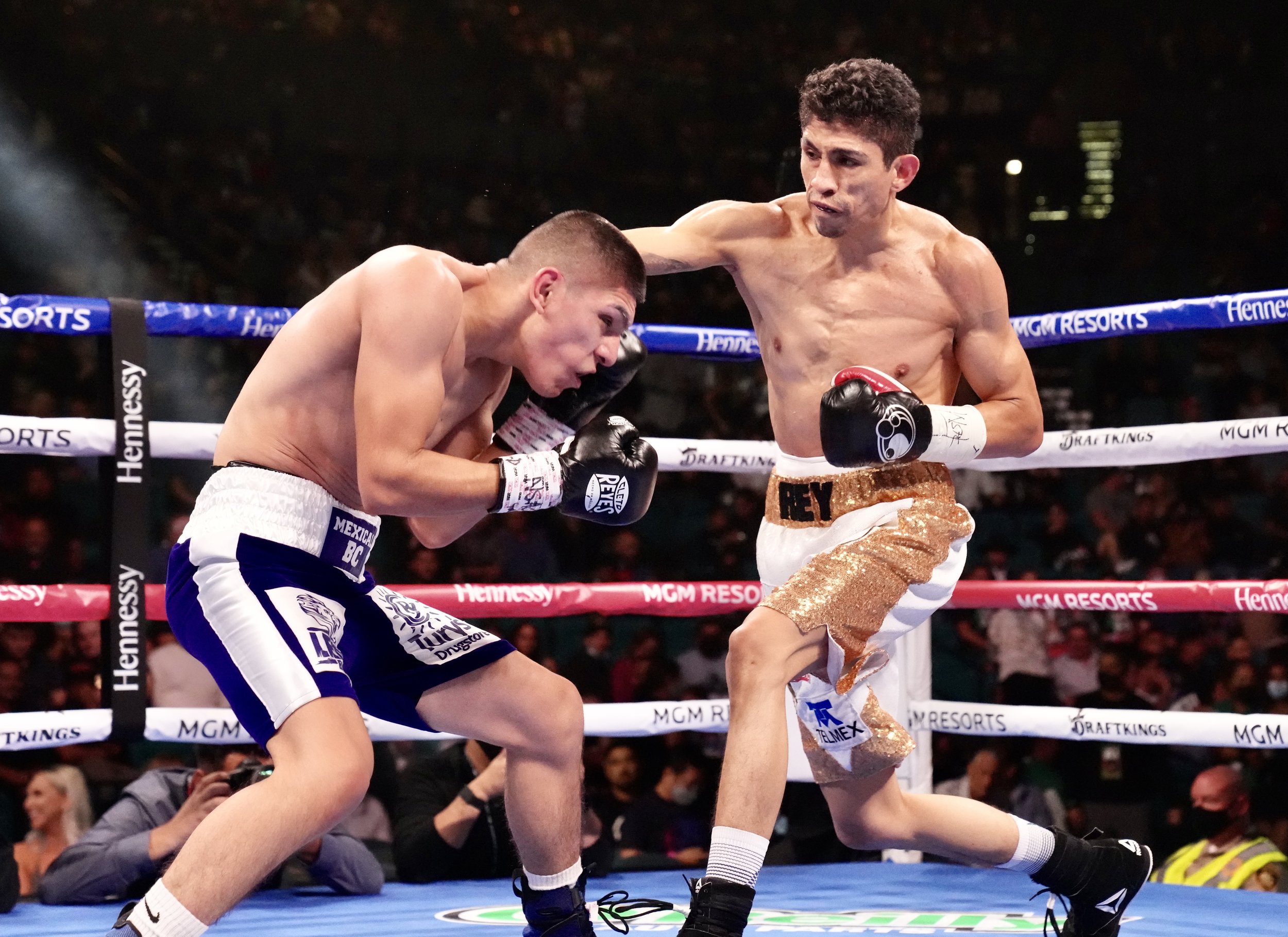 Vargas vs Baez - Fight Night12.jpg