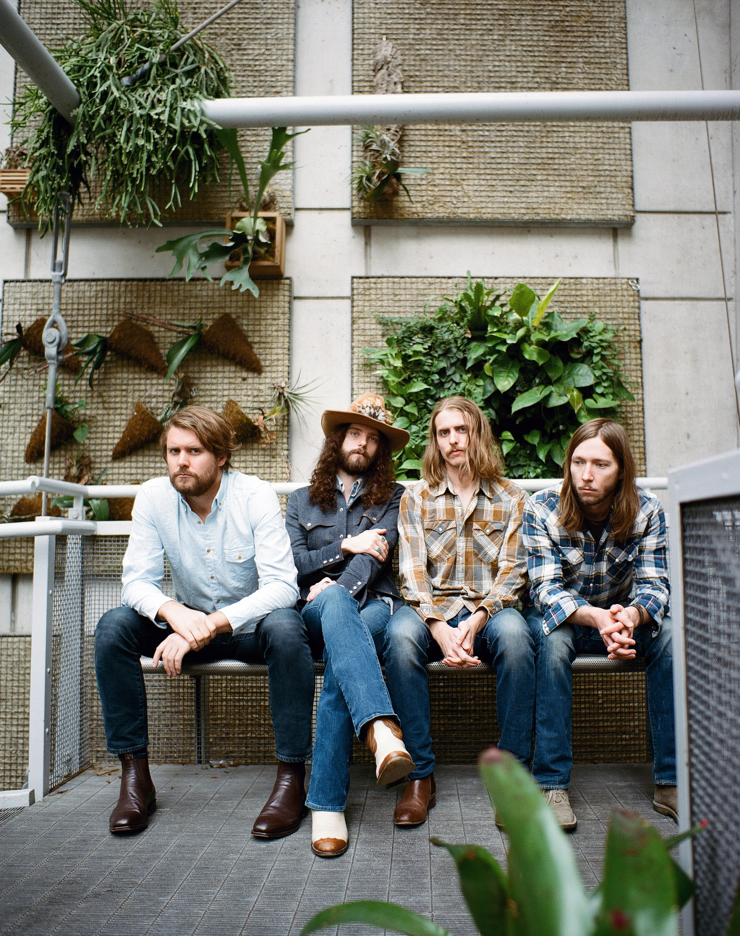 The Sheepdogs