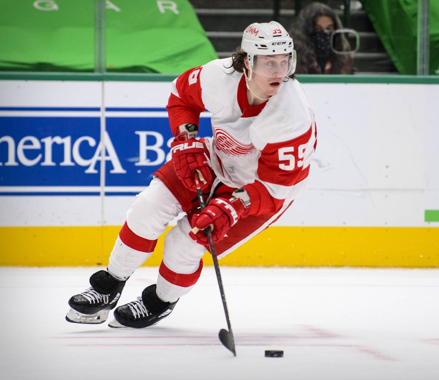 Boston Bruins acquire Tyler Bertuzzi from Detroit Red Wings for picks -  Daily Faceoff