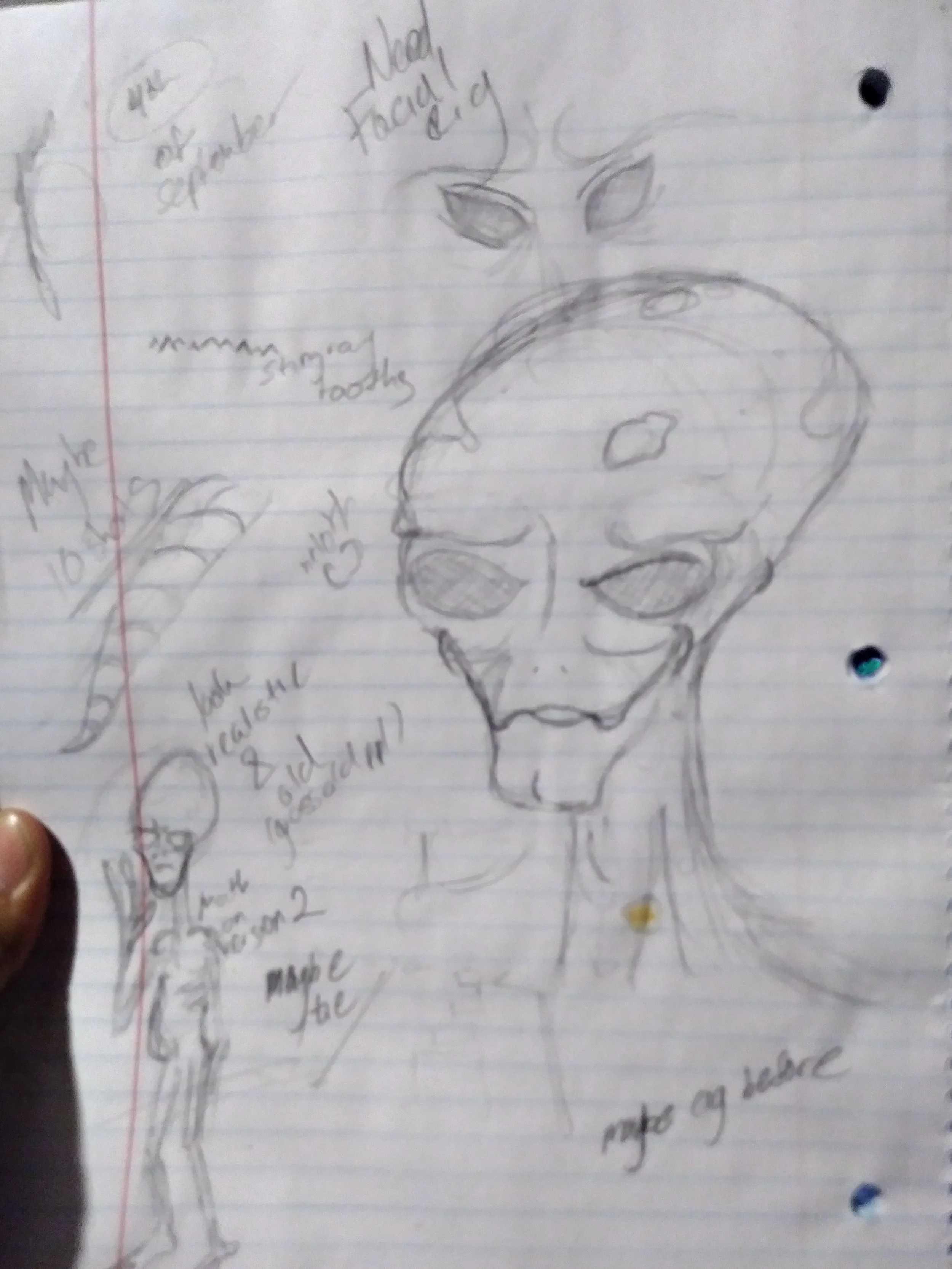 Sketch.jpg
