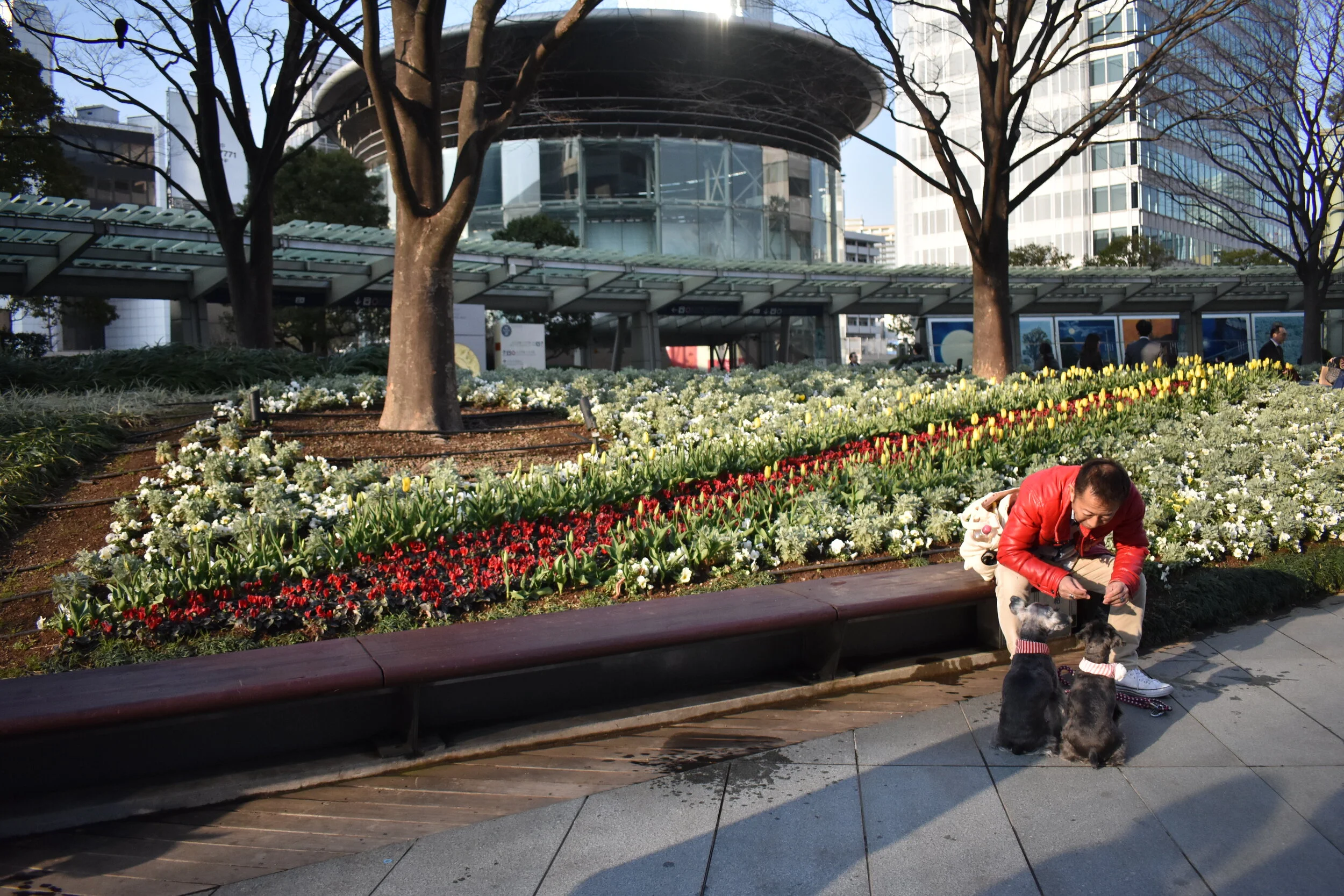Day 3_ Roppongi Man w_ Dogs.JPG