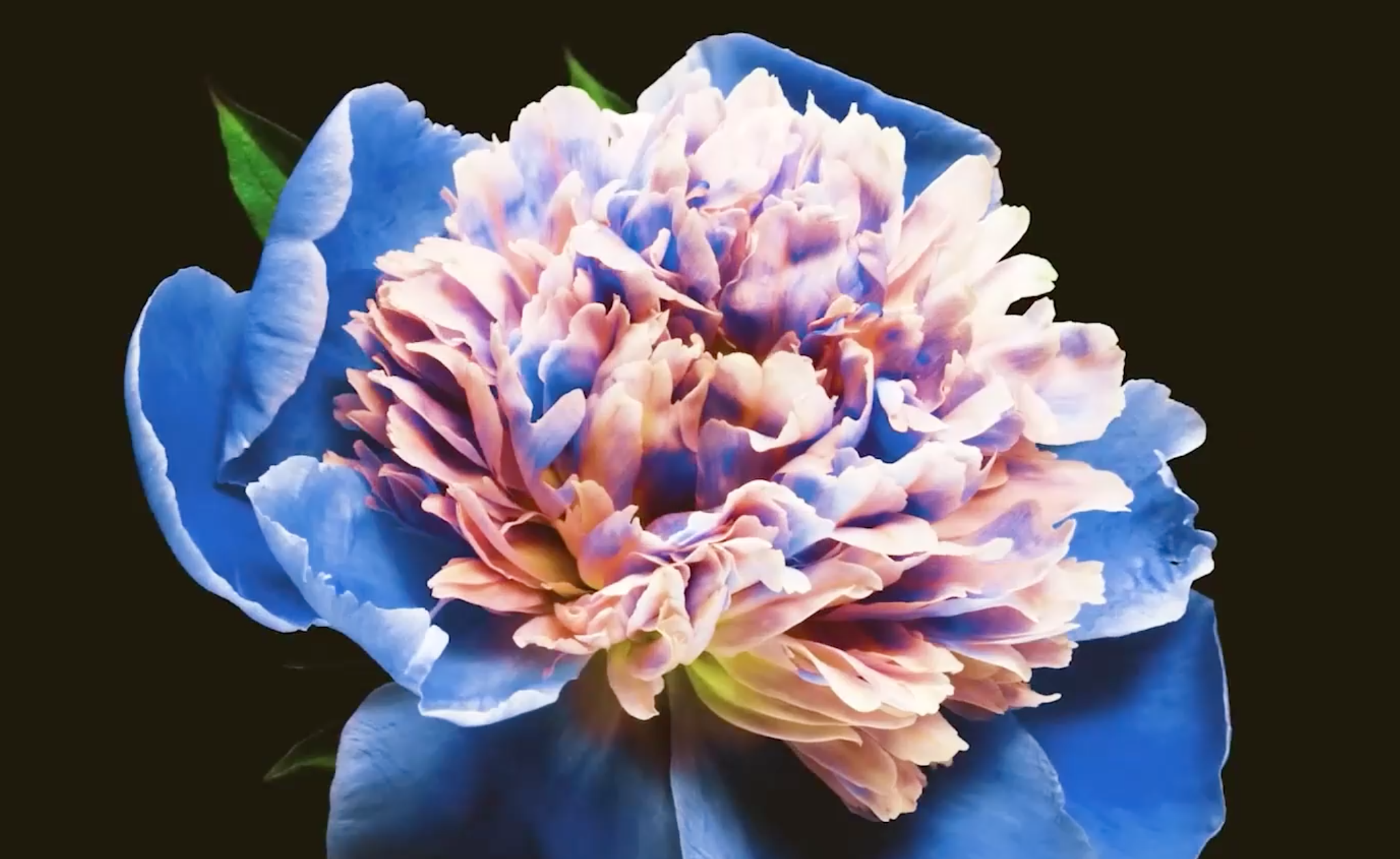 Episode 52 - Canesten Ad Reviewed by Diageo, JCDecaux and LinkedIn