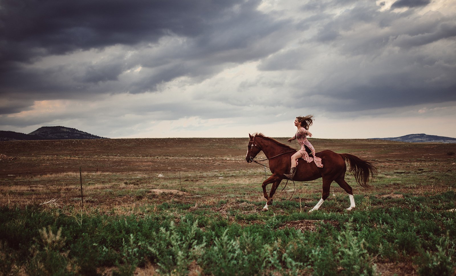 horse-portraits-TCR-Lauren-48.jpg