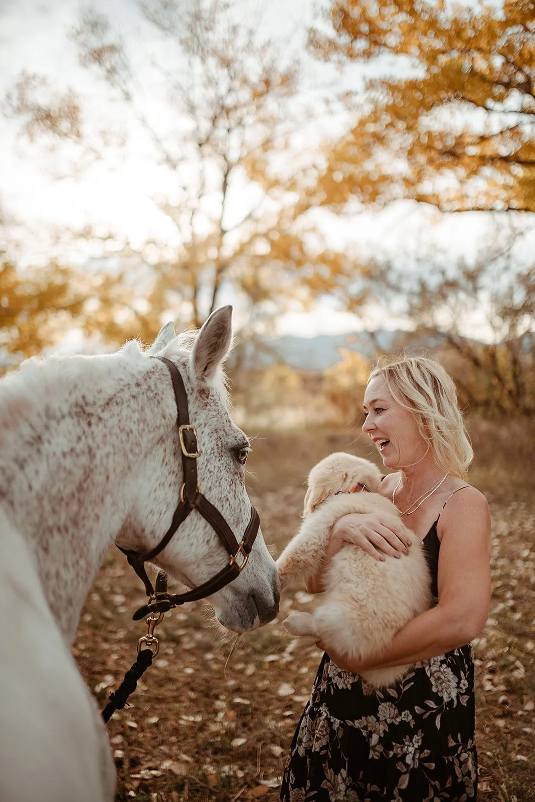 family-photography-boulder-lauren-wright-photography-29.jpg