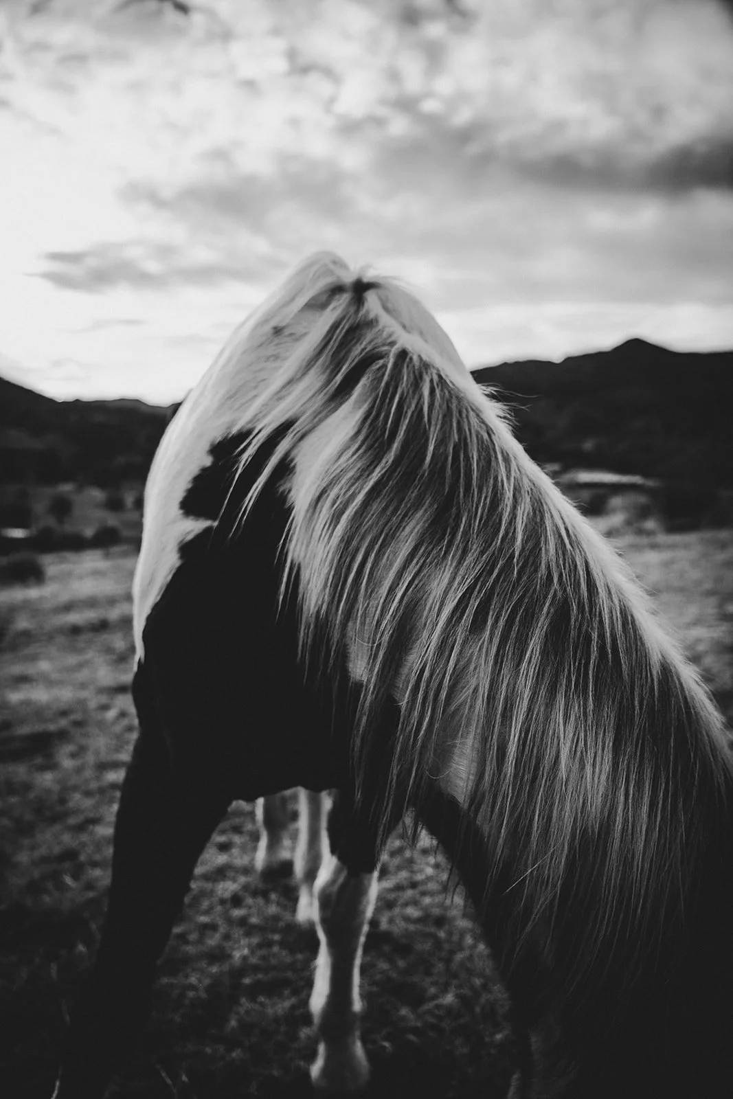 my-untamed-heart-hannah-74.jpg