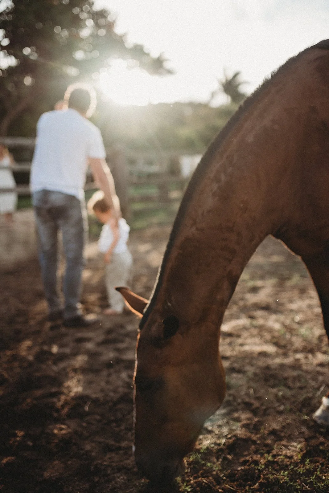 family-photography-brazil-lauren-wright-photography-71.jpg