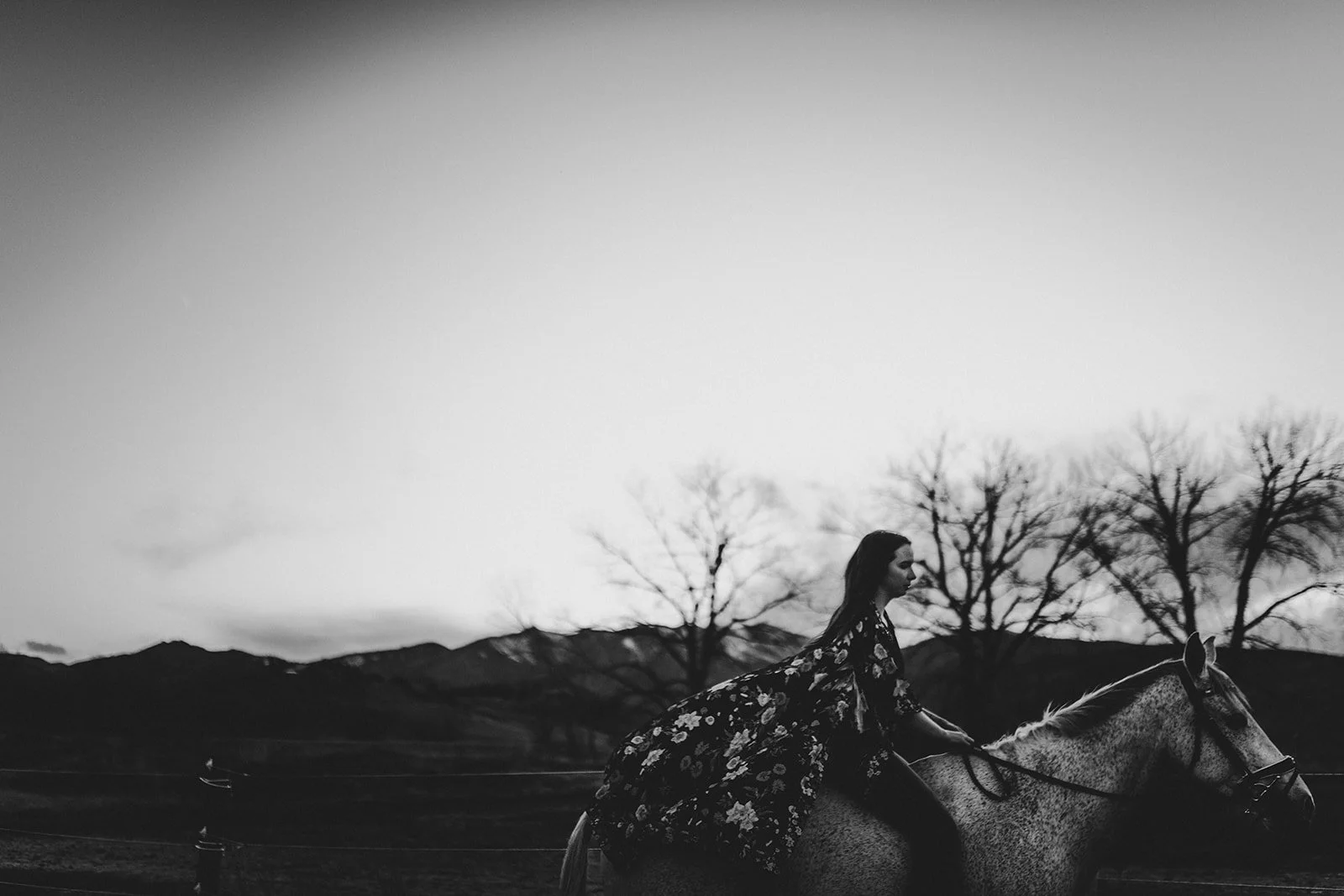 danielle-chauncey-8.jpg