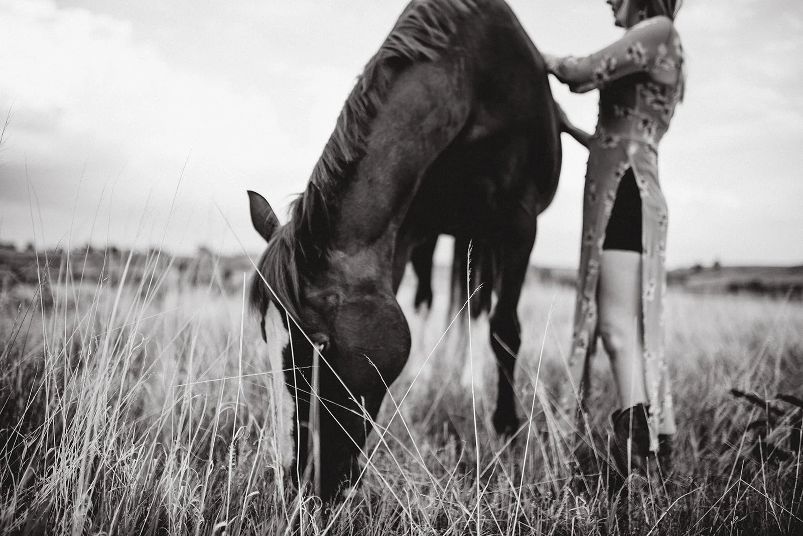 horse-portraits-TCR-Lauren-23.jpg