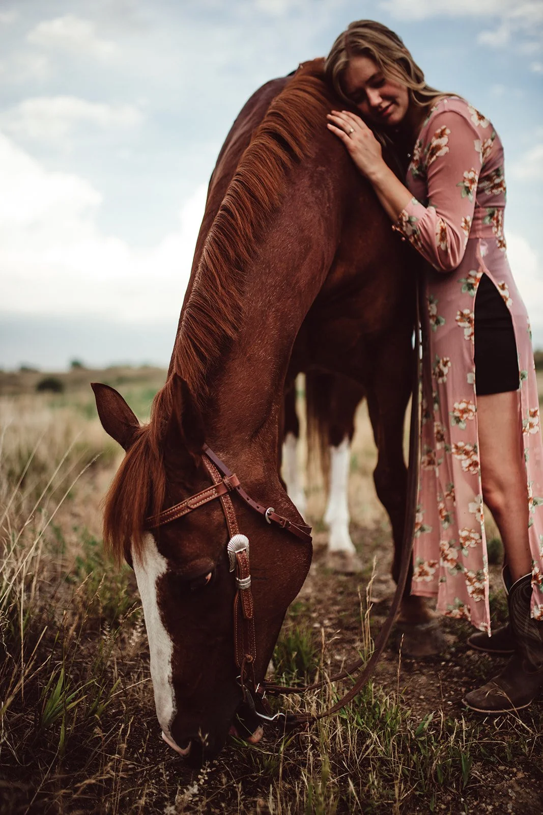 horse-portraits-TCR-Lauren-19.jpg