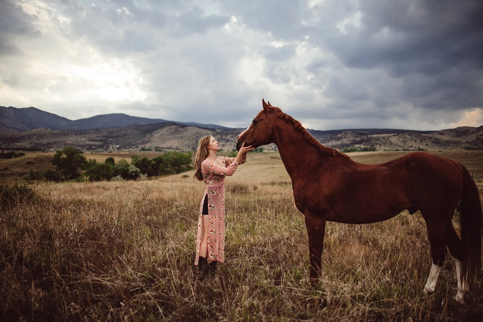 horse-portraits-TCR-Lauren-25.jpg