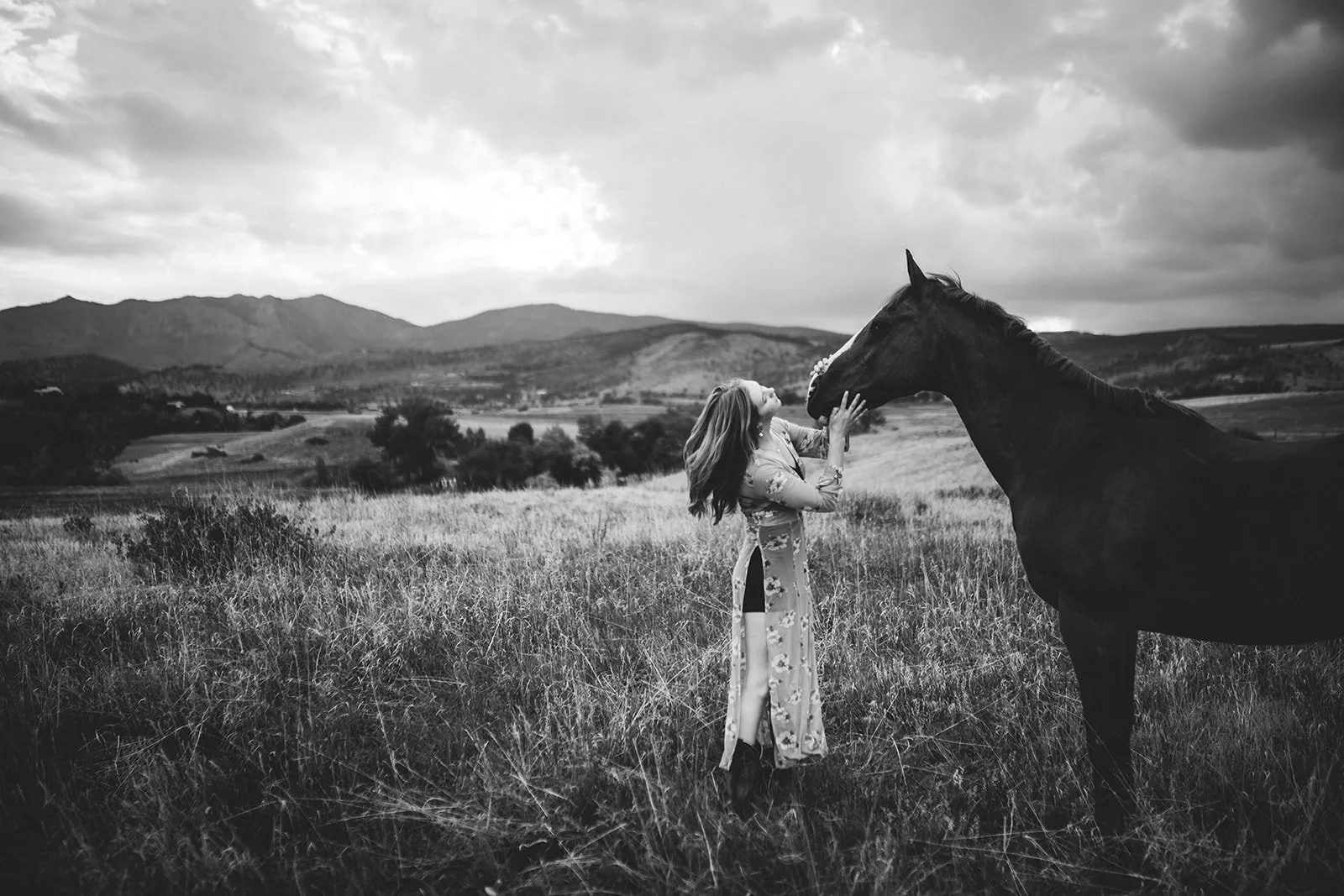 horse-portraits-TCR-Lauren-24.jpg