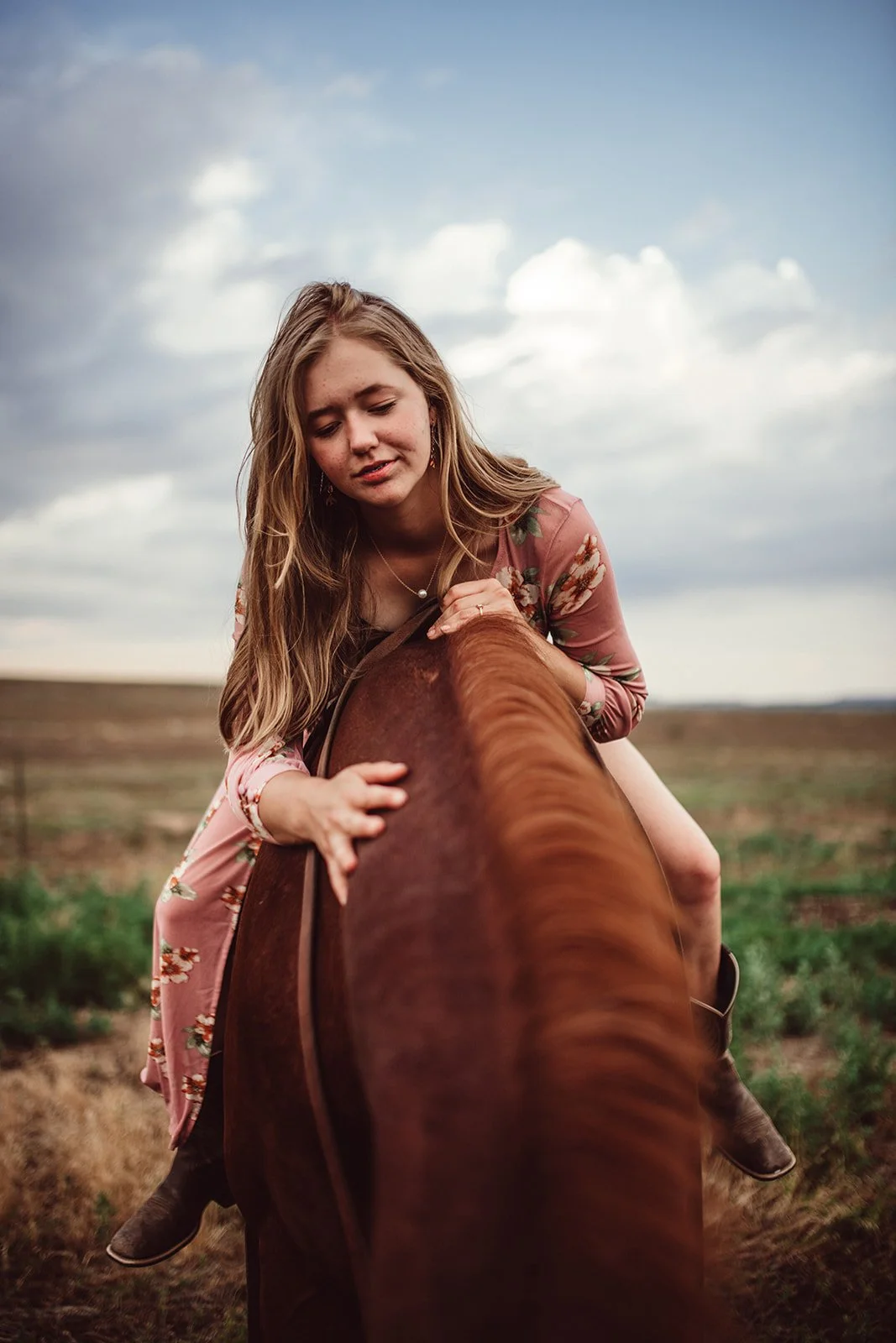 horse-portraits-TCR-Lauren-45.jpg