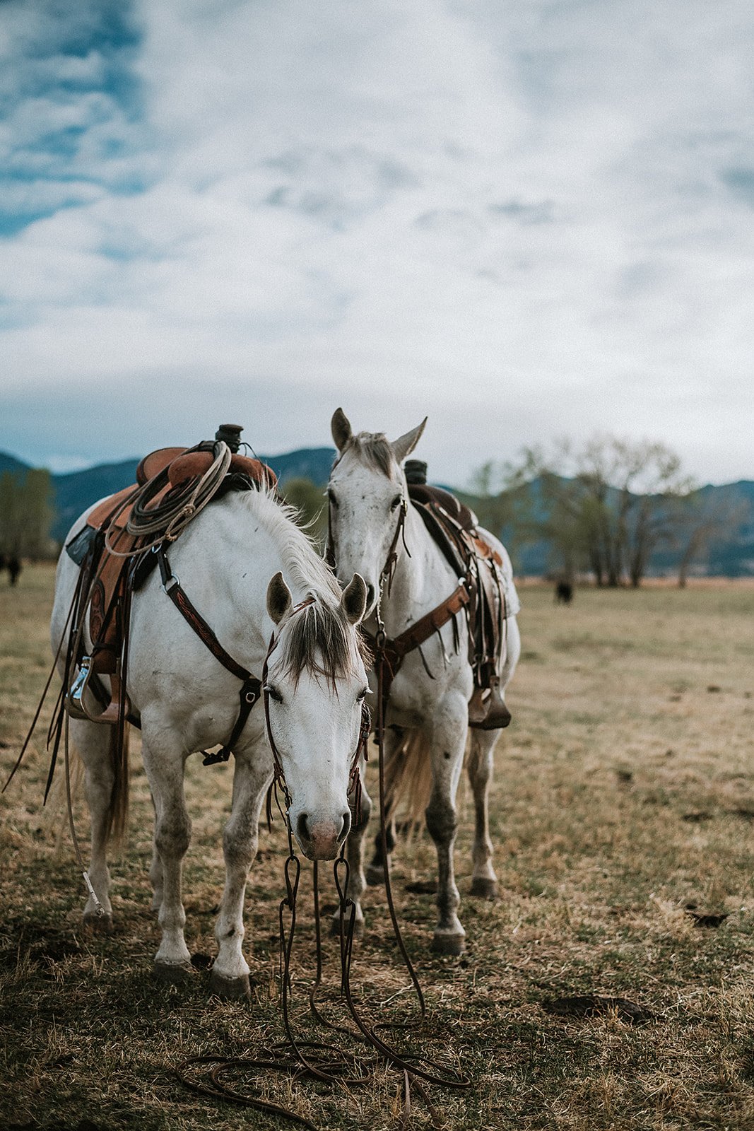 engagement-boulder-photographer-lauren-wright-photography-101.jpg