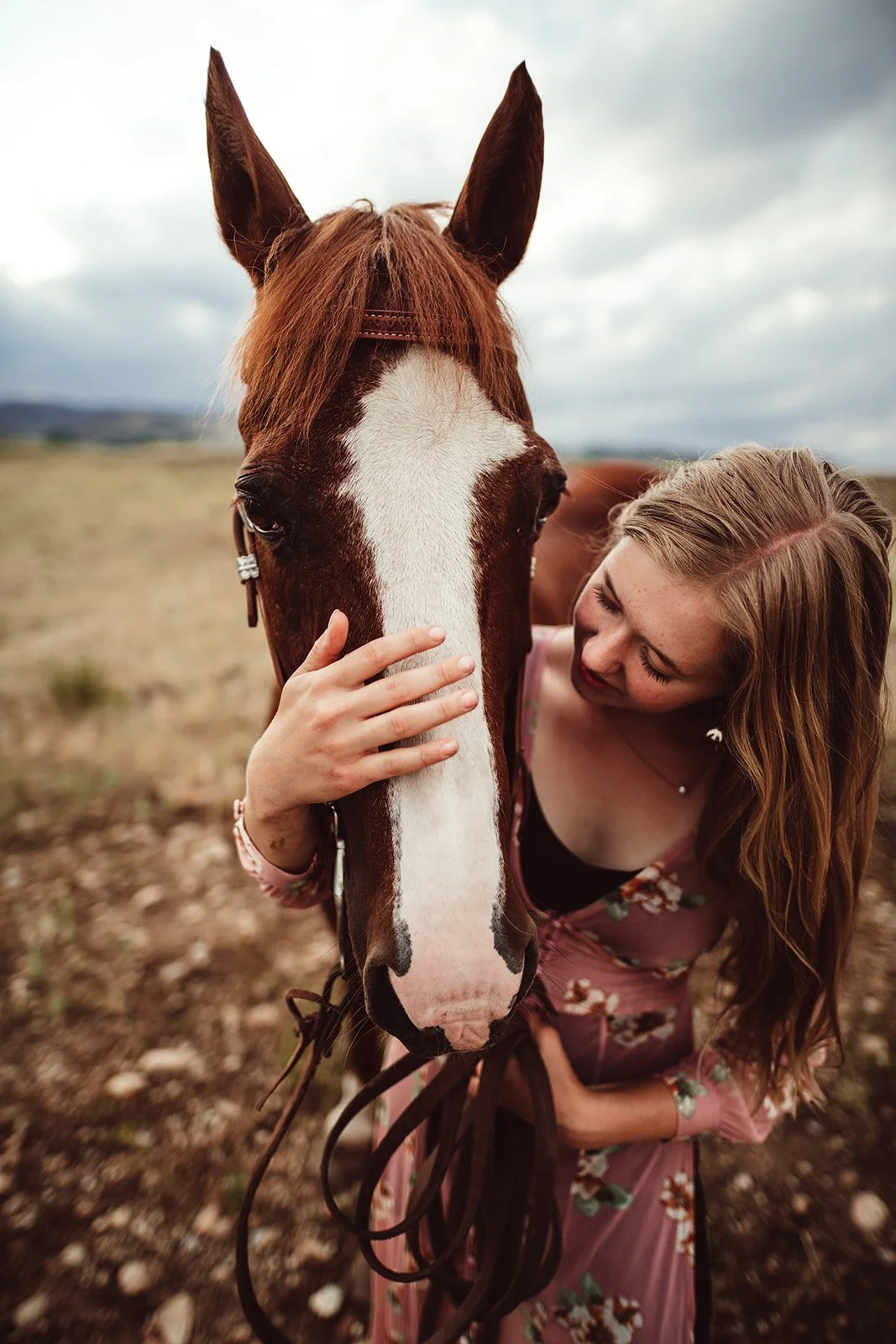 horse-portraits-TCR-Lauren-6.jpg
