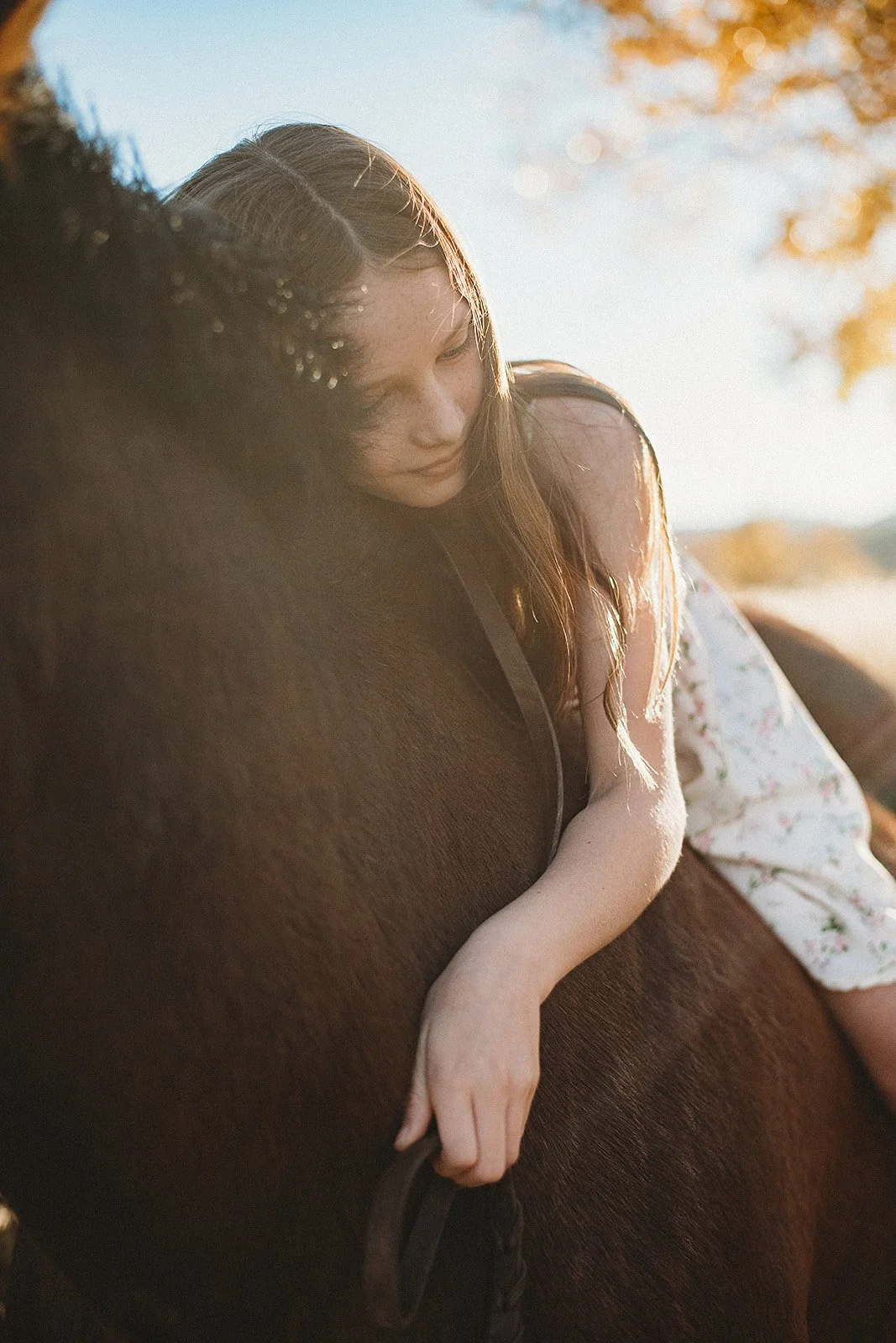 family-portrait-session-boulder-lauren-wright-photography-55.jpg