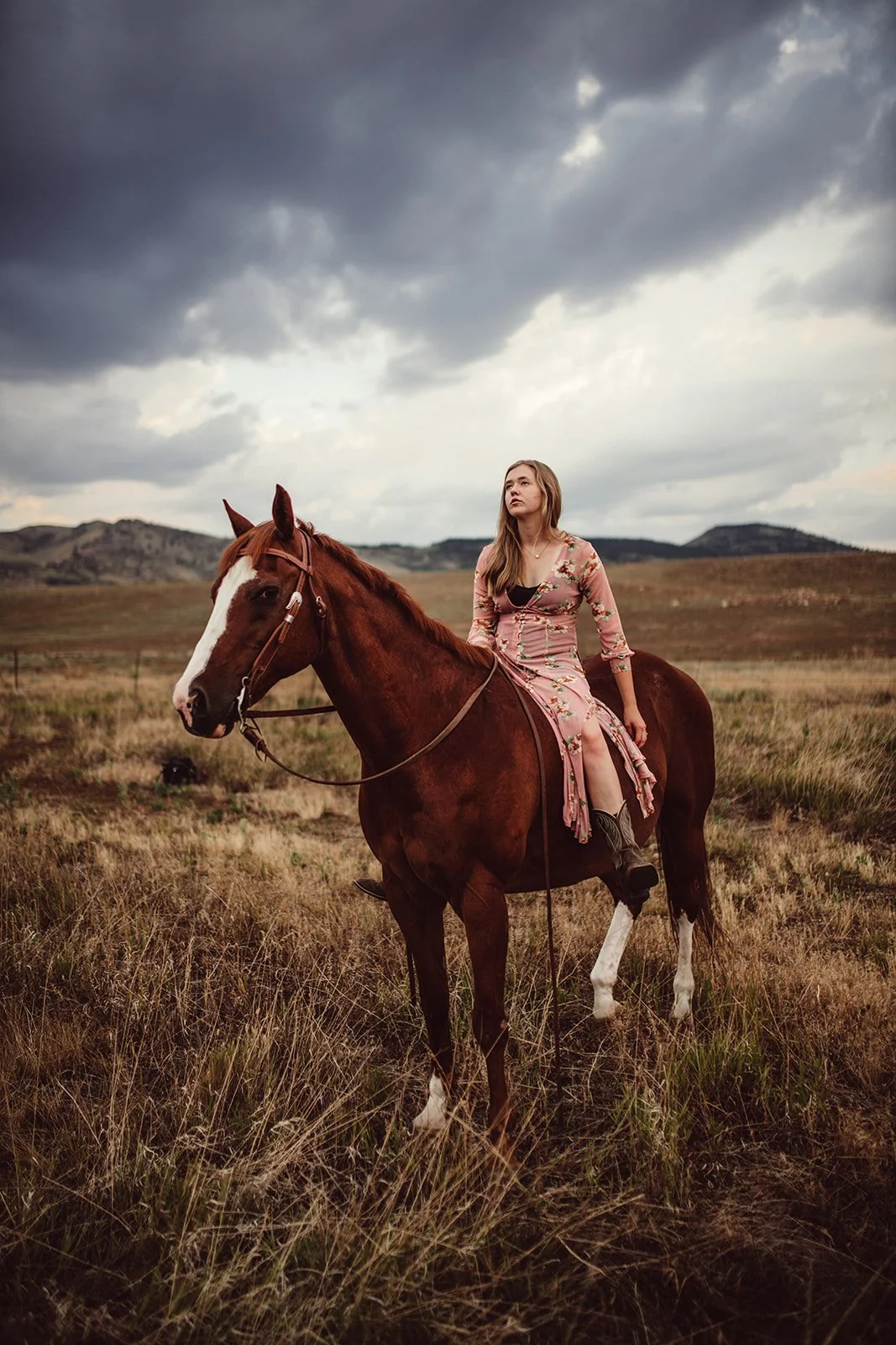 horse-portraits-TCR-Lauren-29.jpg