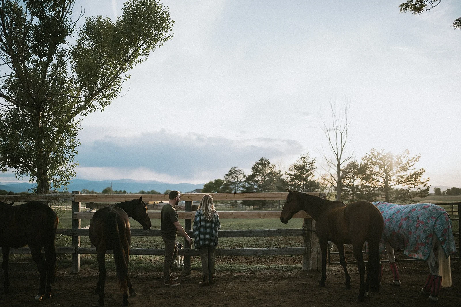 ft-collins-maternity-photography-lauren-wright-photography-112.jpg