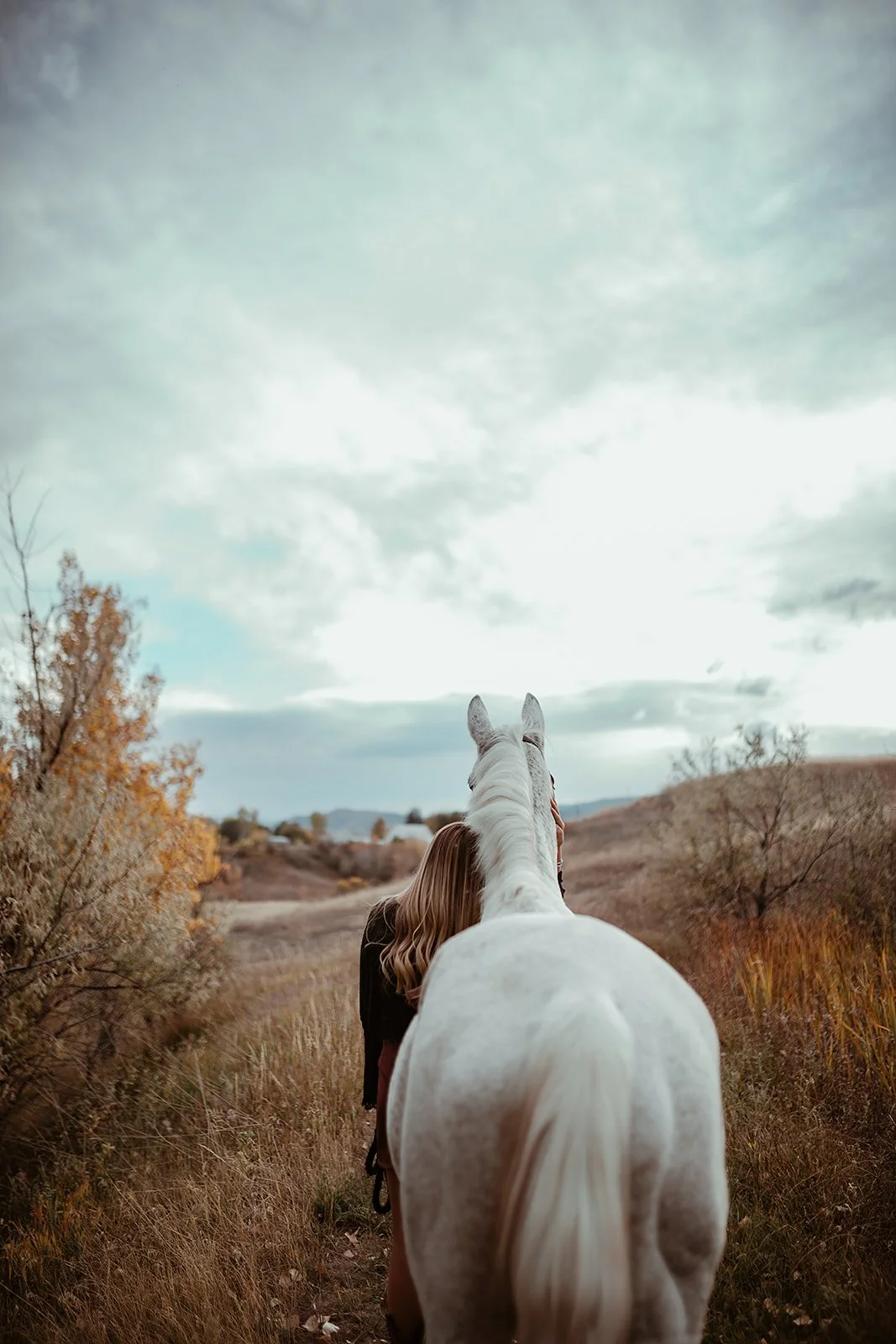 family-photography-boulder-lauren-wright-photography-97.jpg