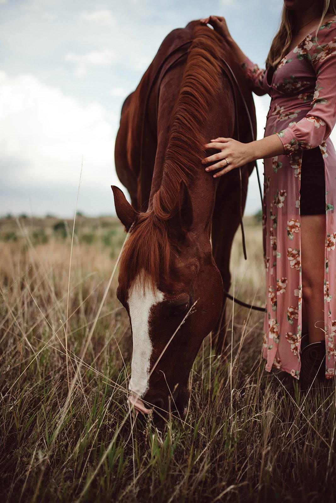 horse-portraits-TCR-Lauren-20.jpg