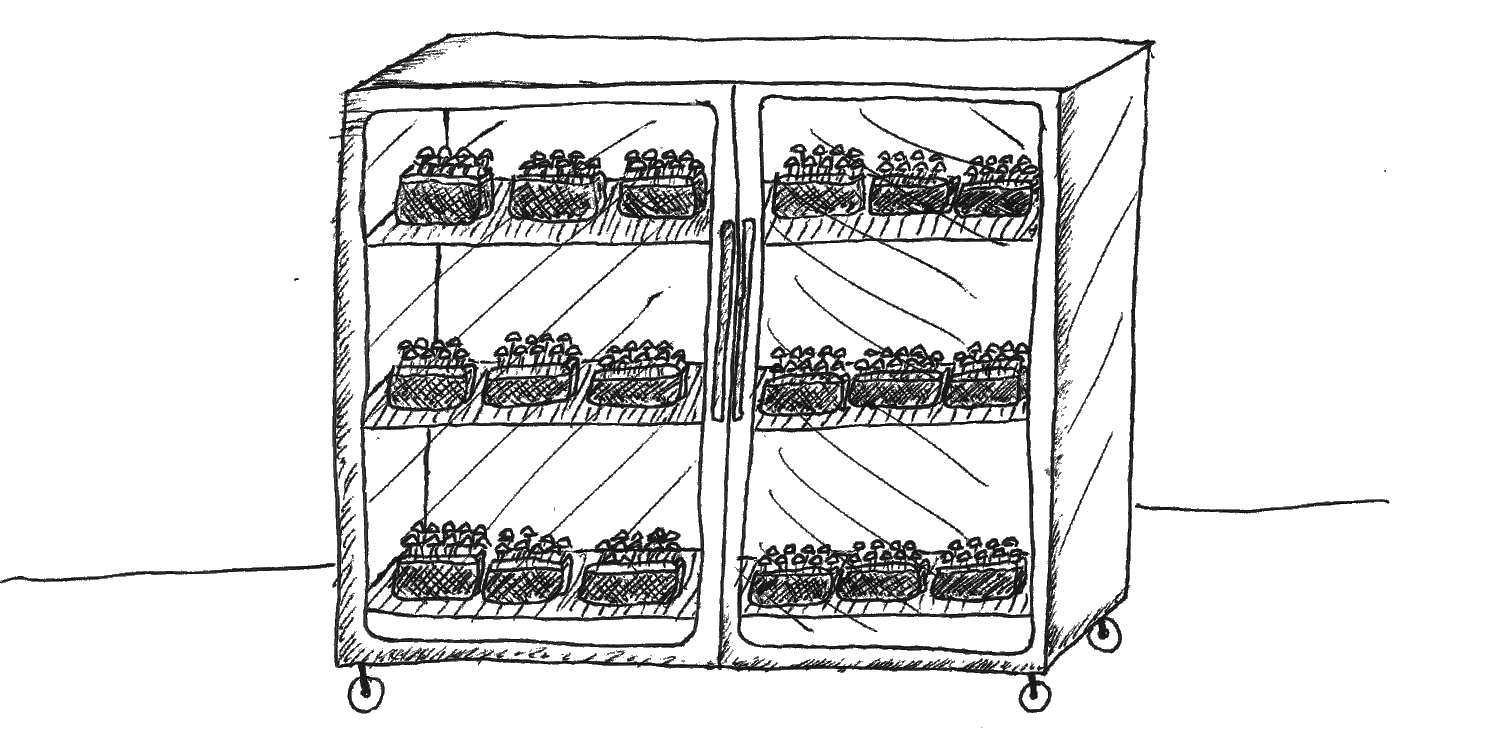 static1.squarespace-2.png