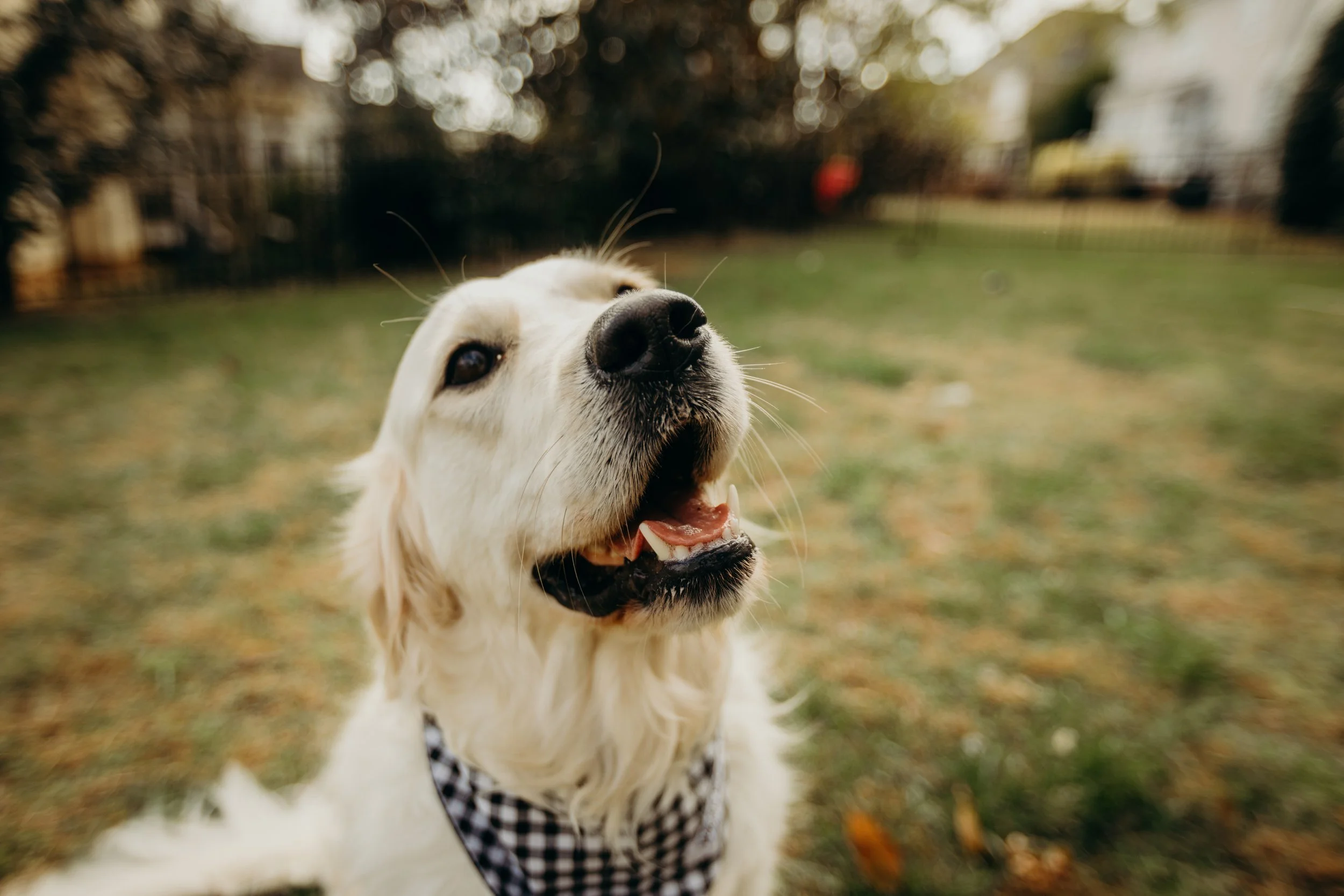 Lumen Films_Photography_FamilyPortrait_4.jpg
