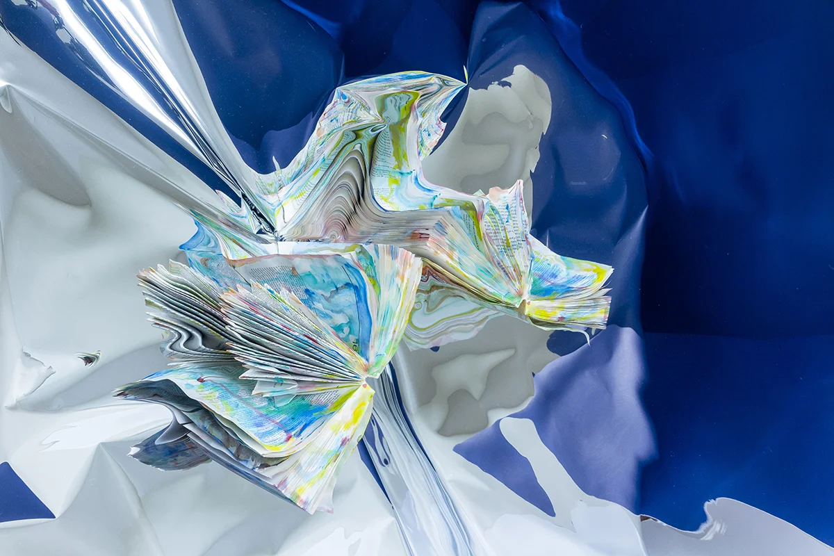 Alex Vignoli, Ultimatum, 2016