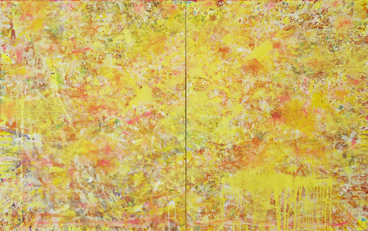 Dakota Sfumatura, 2017
