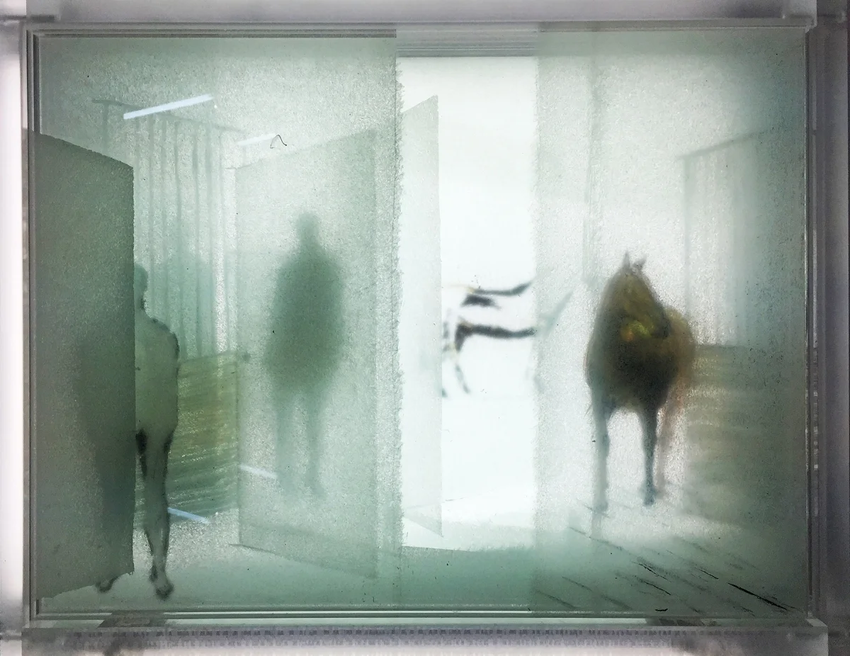 Doors and Gate with Horses, 2016