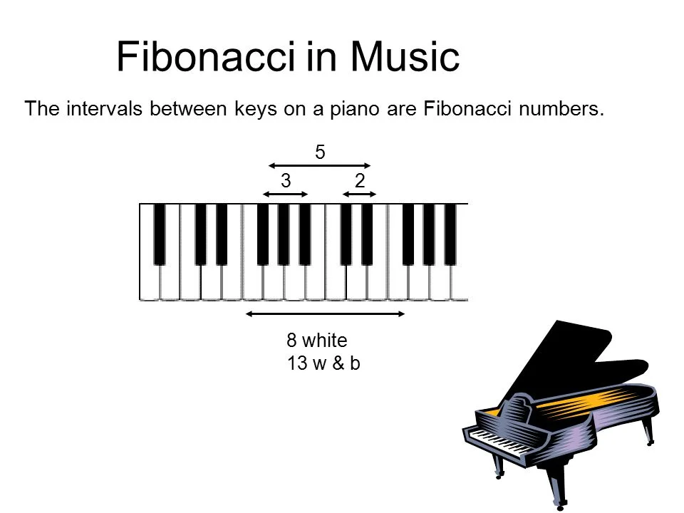 The CULTIVATE™ Blog F I B O N A C C I — Emily Drew