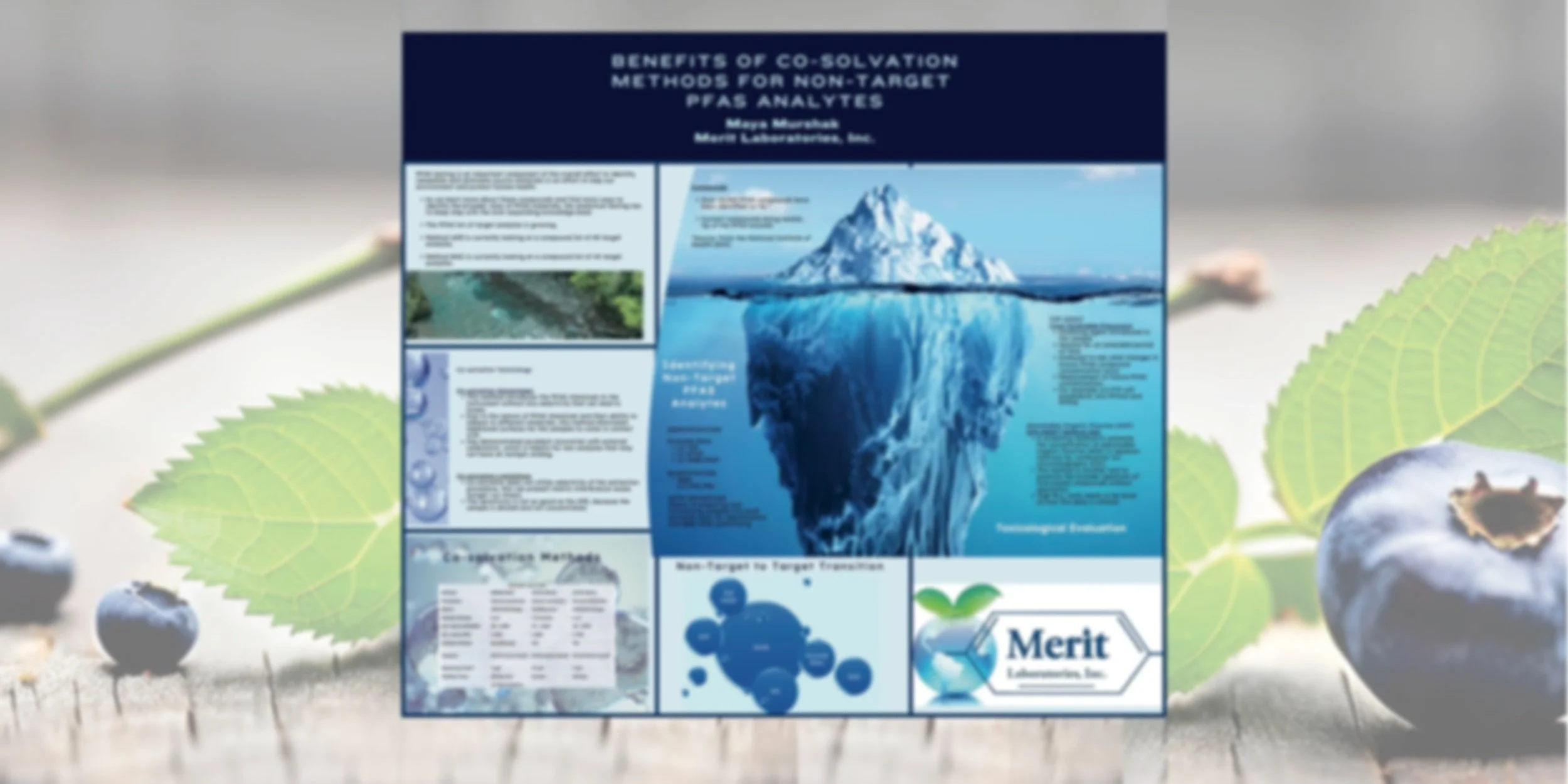 Merit Laboratories to Present at NEMC 2025 in St. Louis
