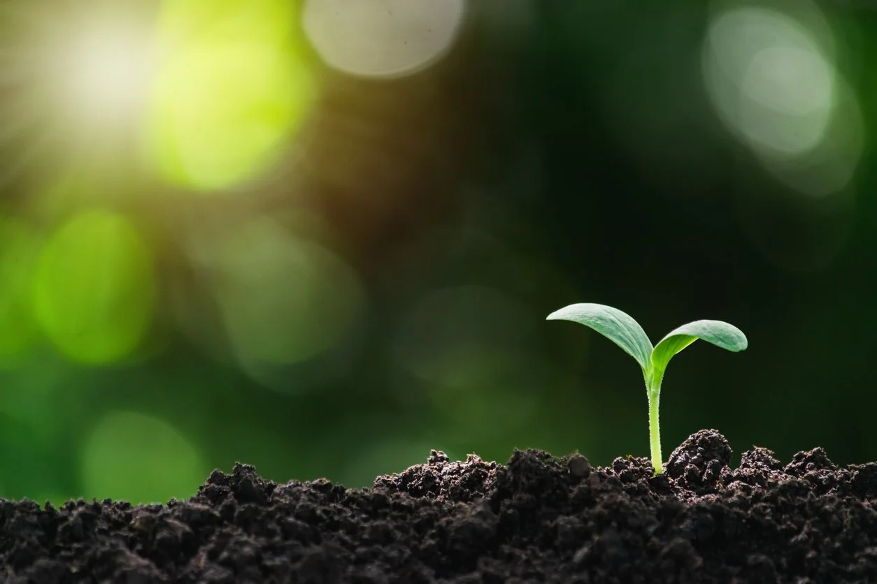 Diverse Range of Analytical Soil Testing Using Incremental Sampling Methodology (ISM)