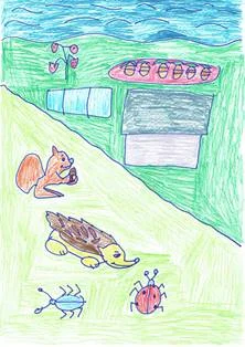 Encouraging wildlife by Colin